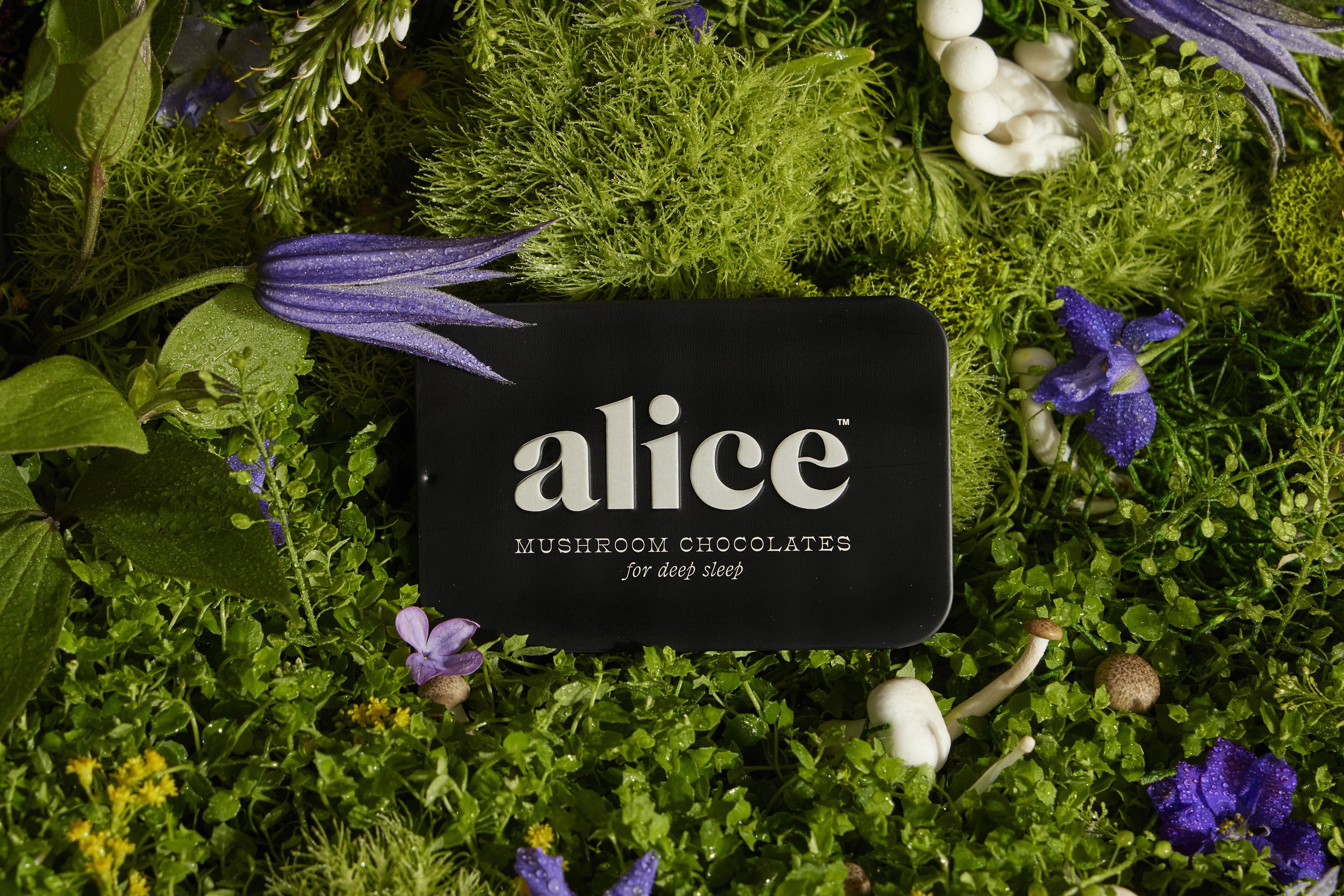Alice Mushrooms Nightcap Review | World Sleep Day — The Lace Ledger