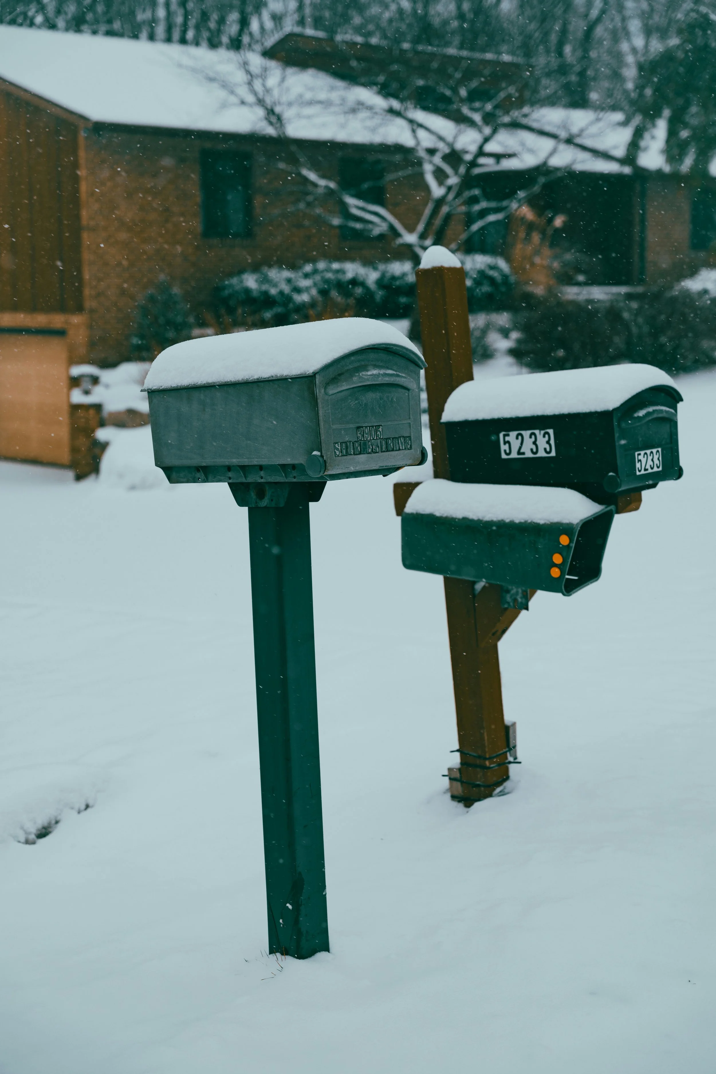 Winter mailbox