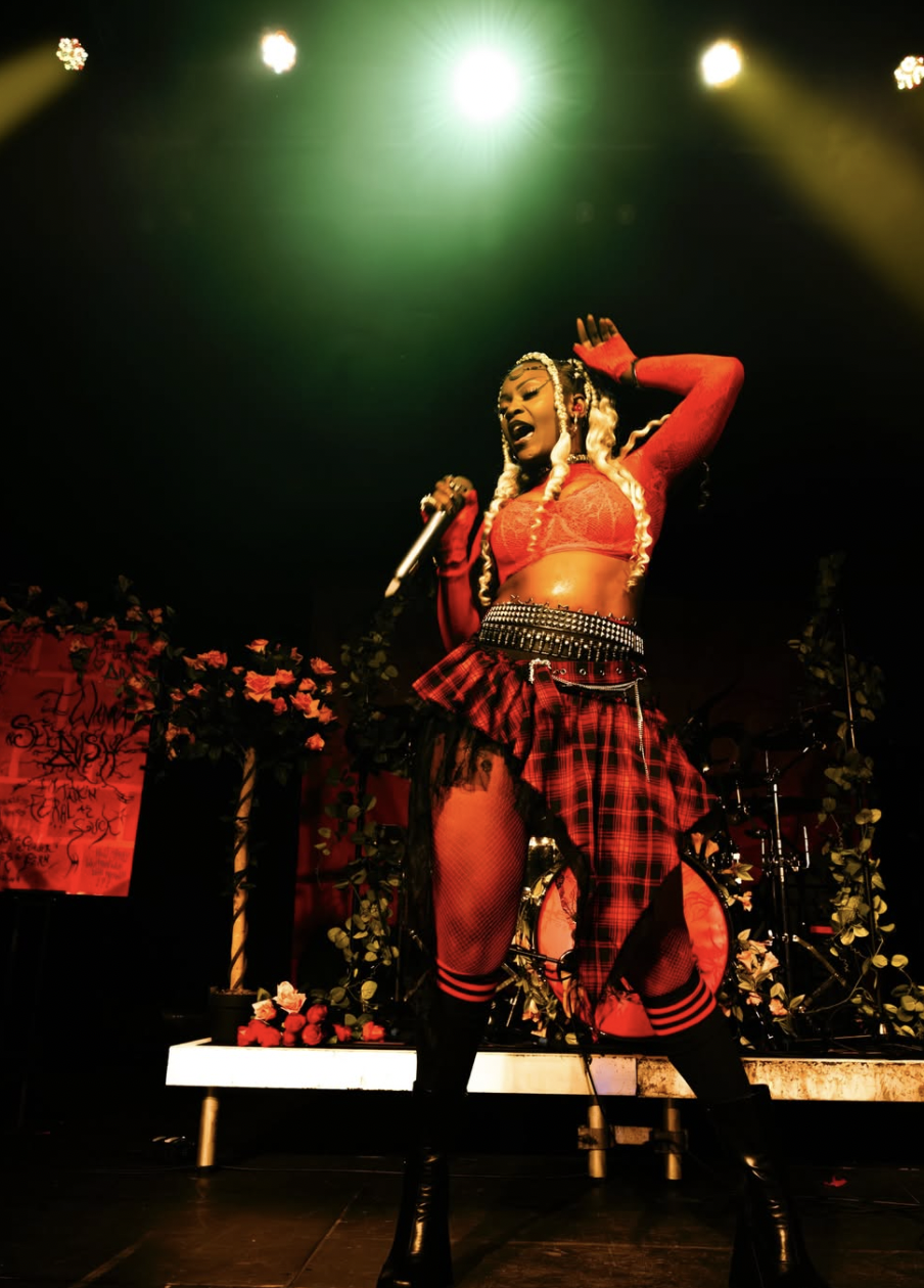 Heretics and Headliners: The Women Who Rewired Rock by The Lace Ledger