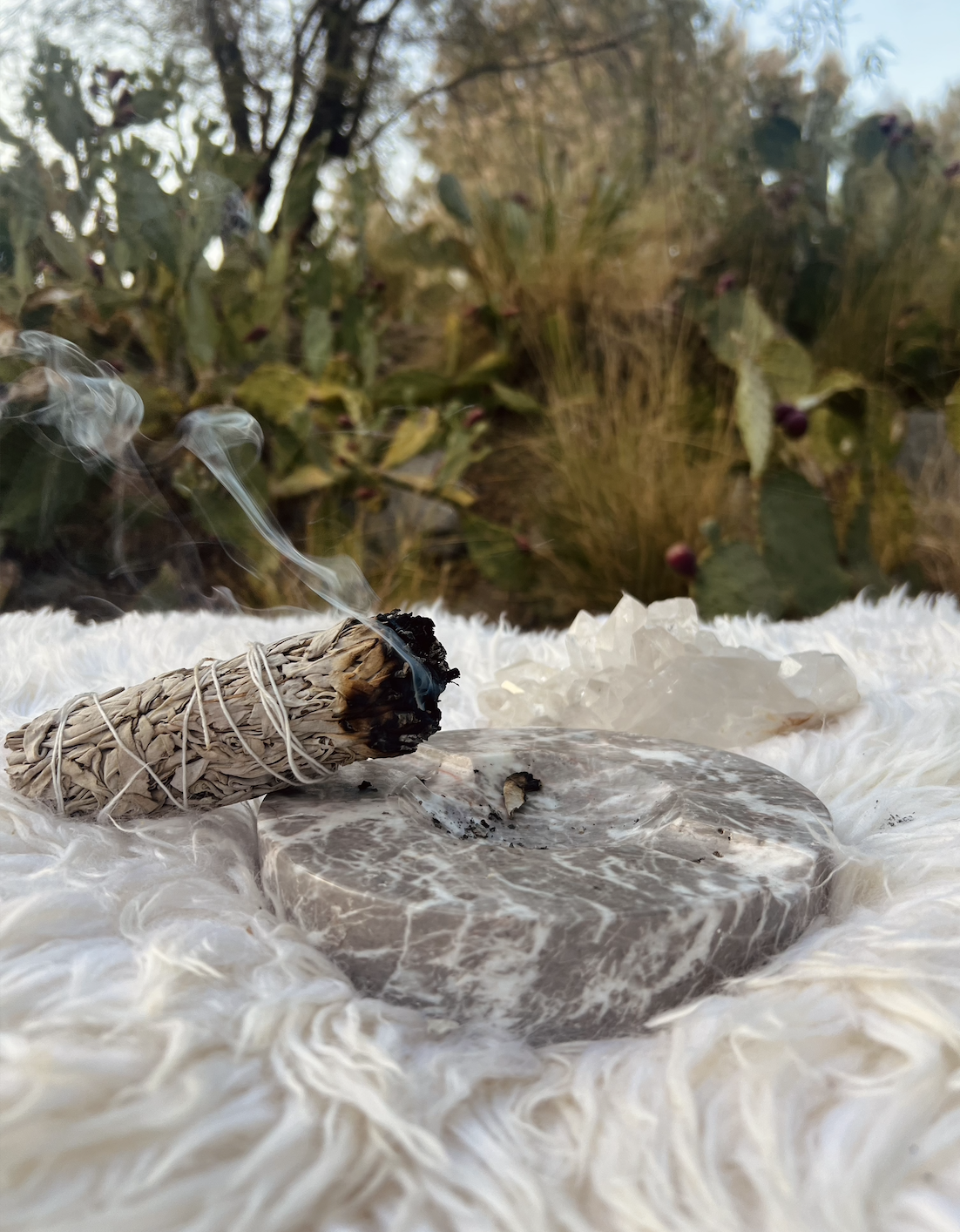 Screenshot 2025-11-10 at 1.09.29 PM.png