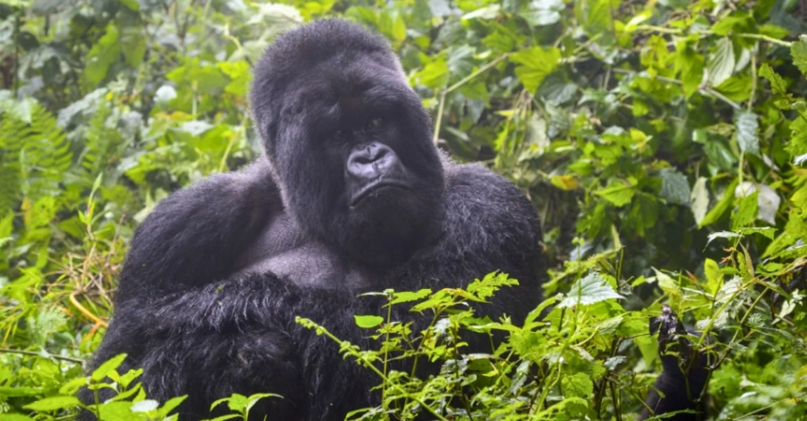 How to Handle a Difficult Board Interaction