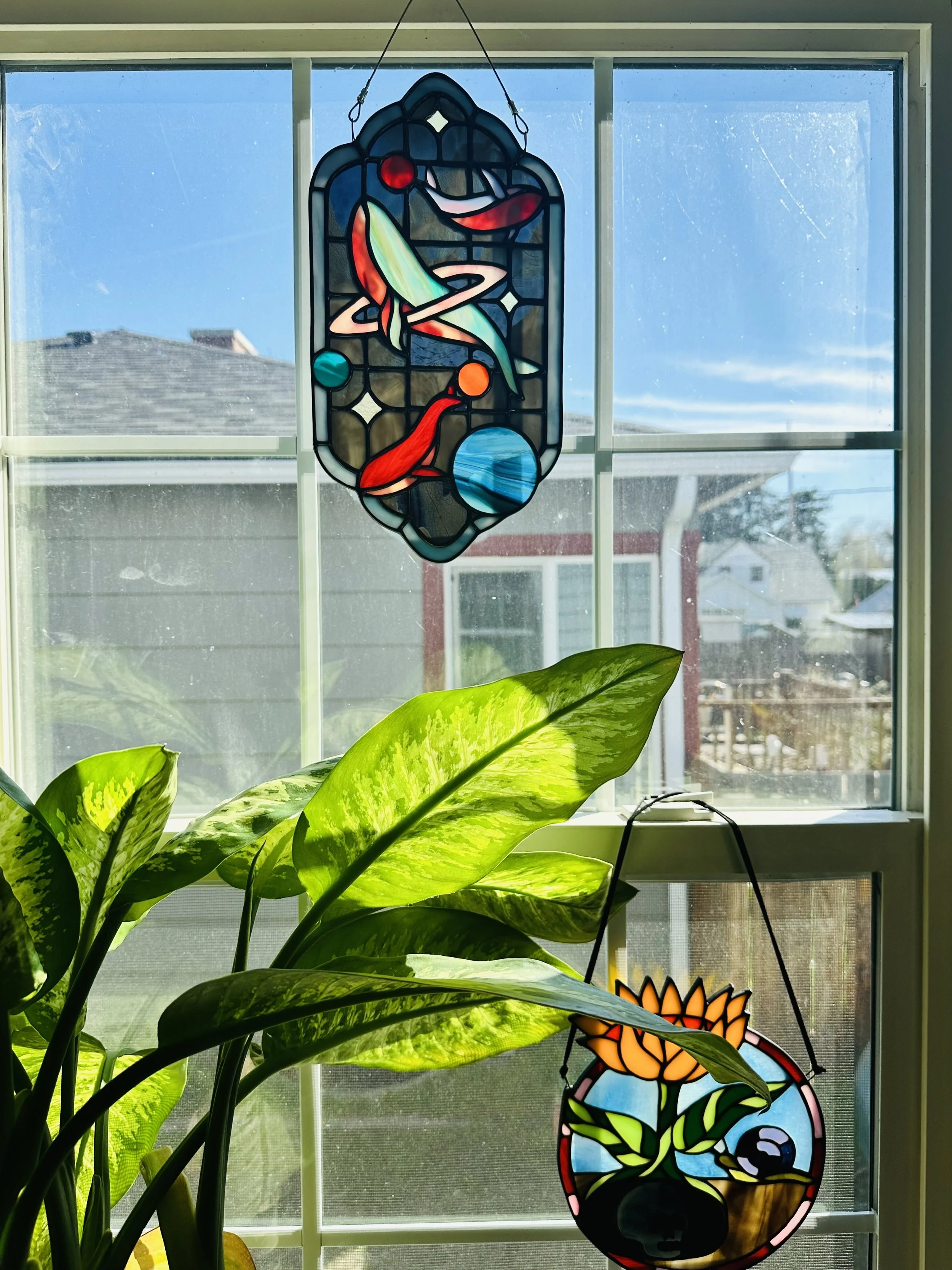 whale in the window.jpg