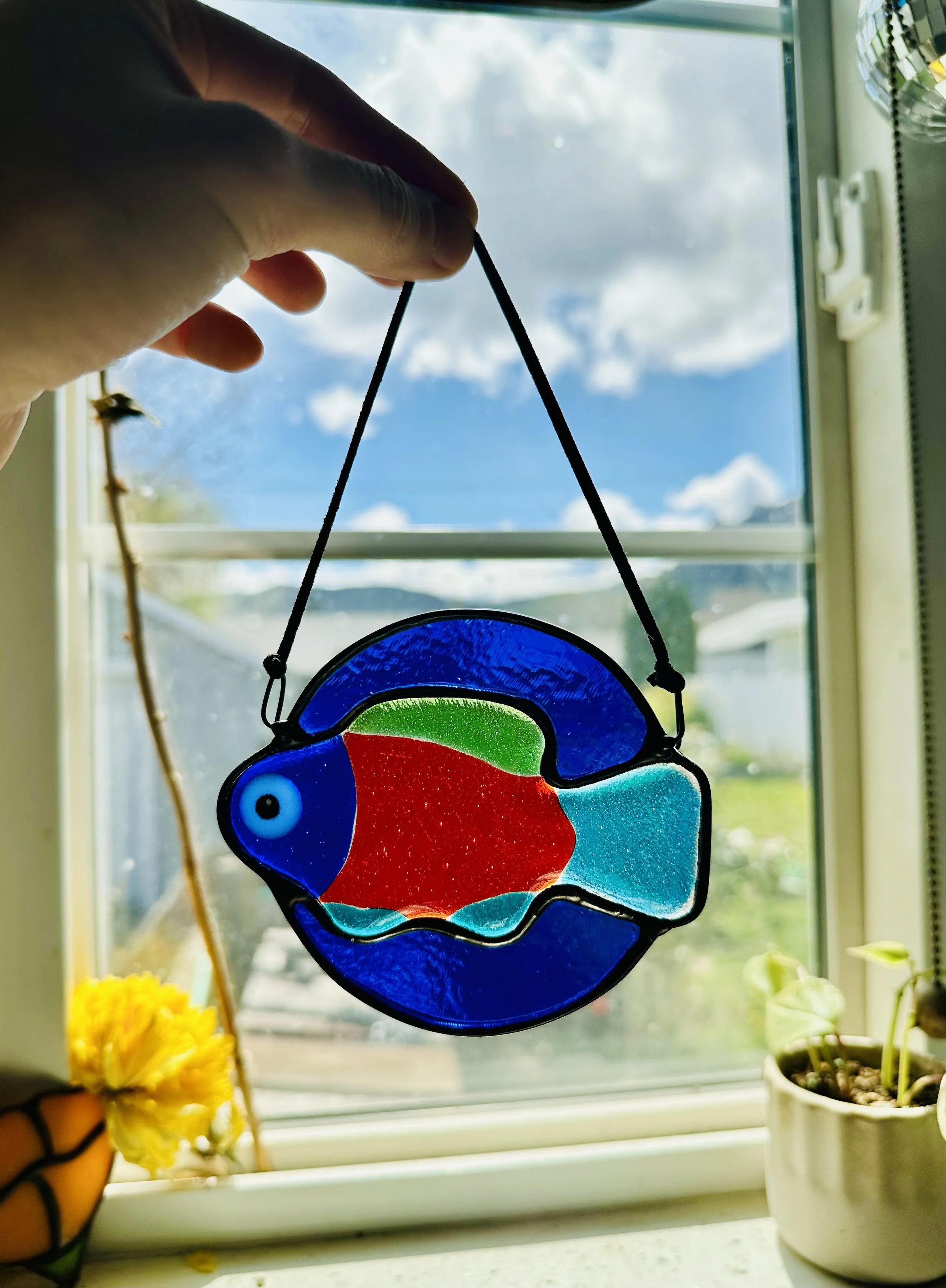 fish in the kitchen .jpg