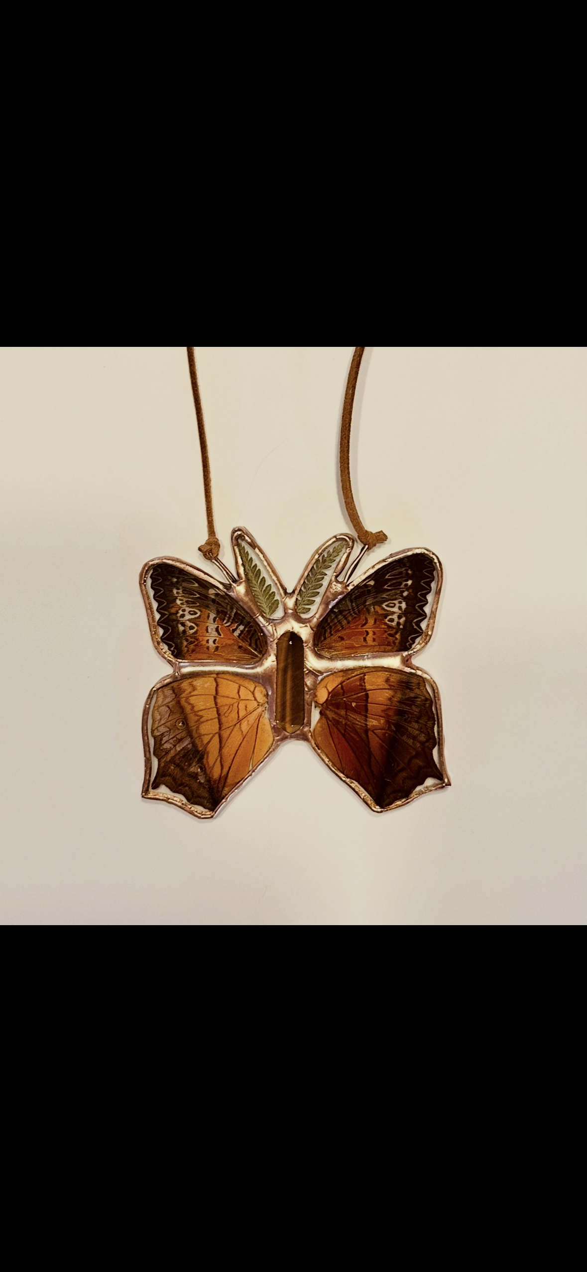 Butterfly wings encased in glass