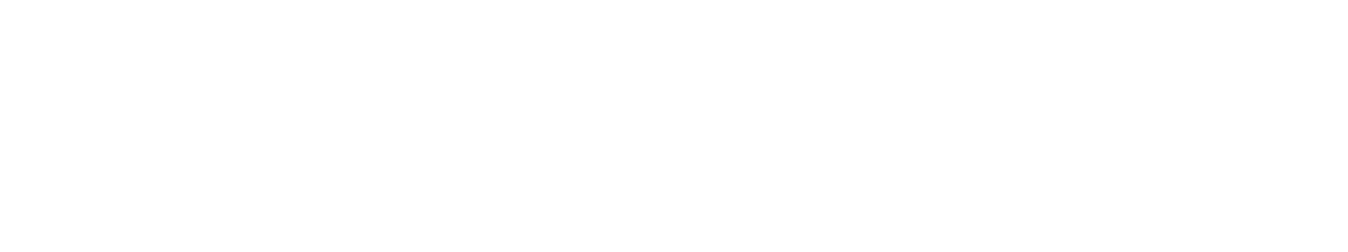 Safety Net Learning Collaborative (SNLC) 