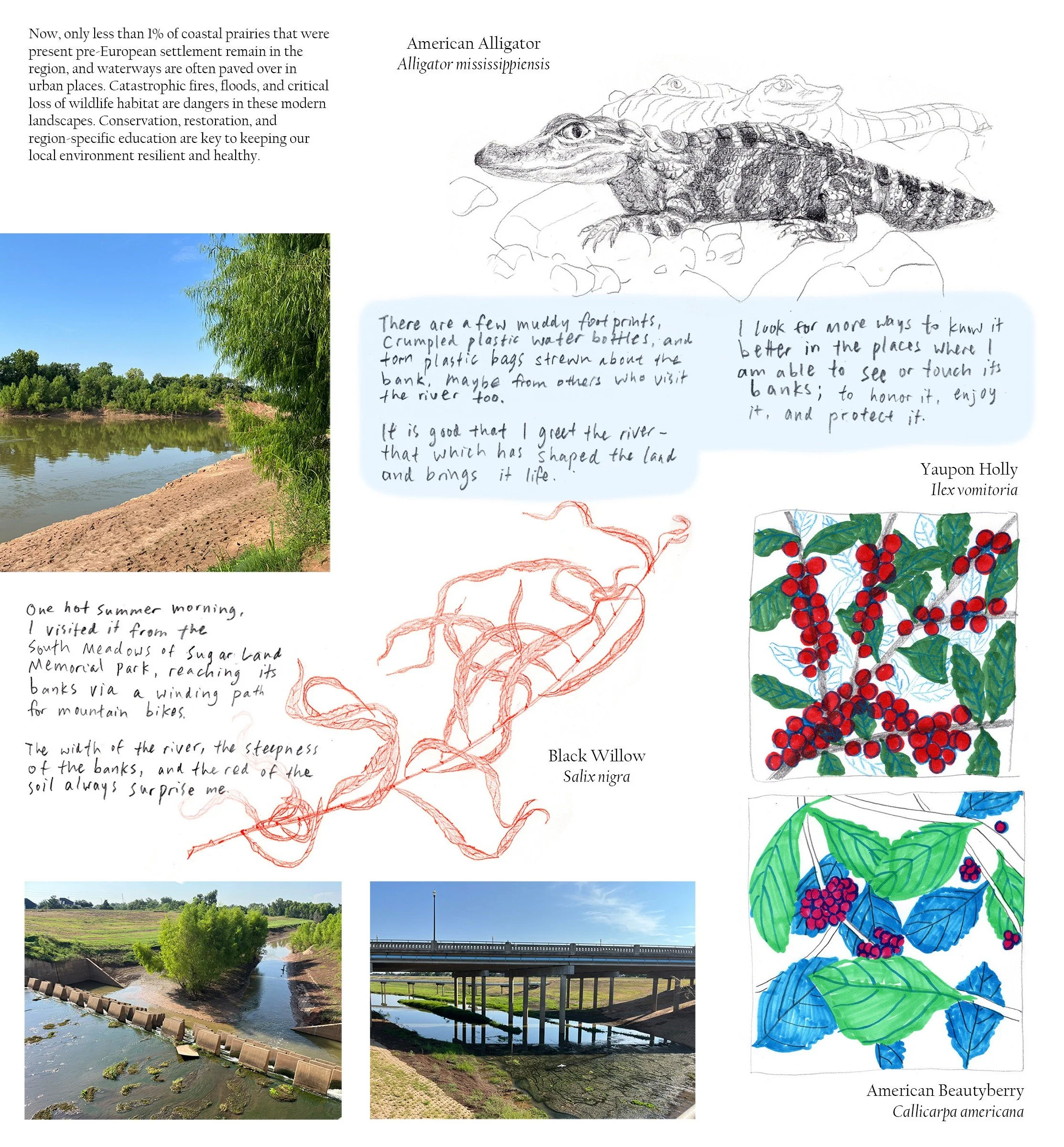 Brazos Bend pamplet (back) web_crop2.jpg