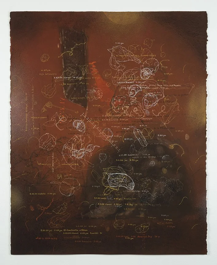 Tudor Mitroi−Red Earth Journal−2020.jpeg