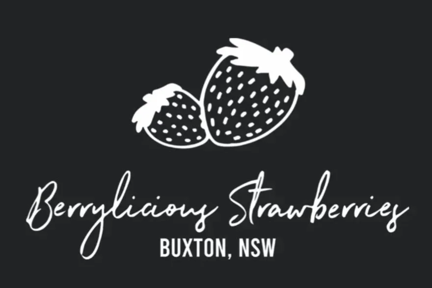 Berrylicious Strawberries