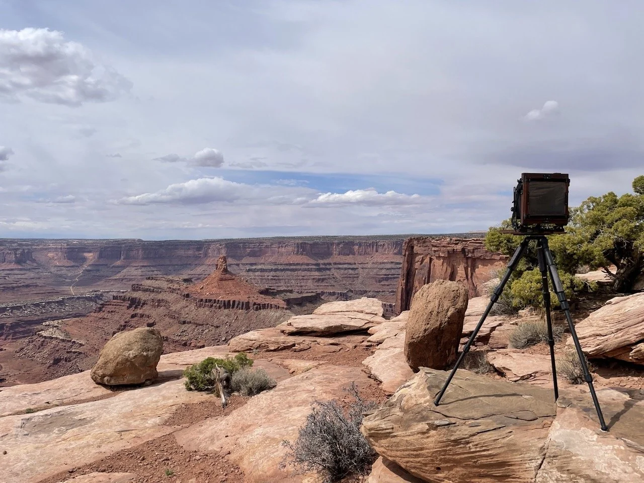 Creating Wet Plate Collodion Glass Negatives