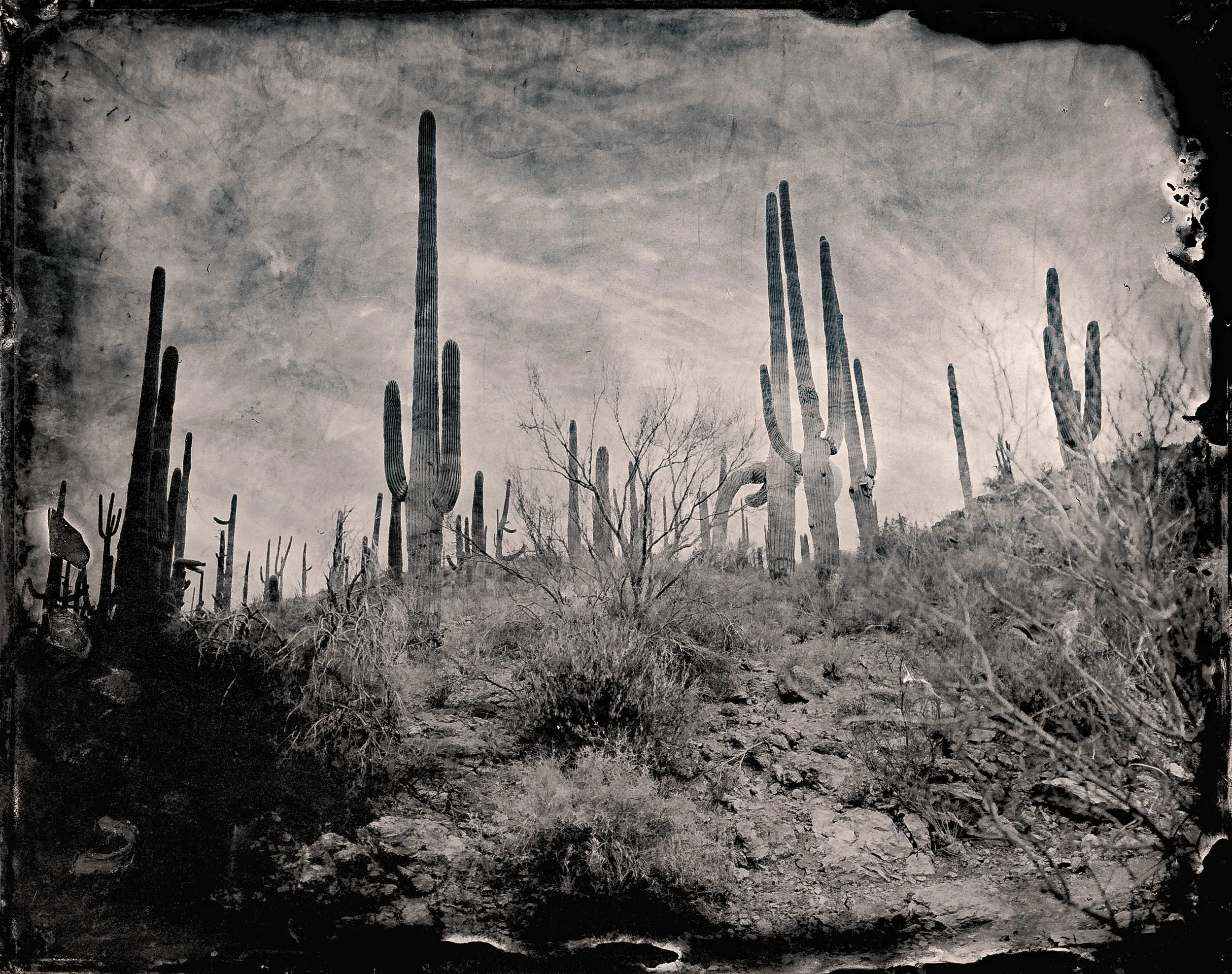 Fine Art Wet Plate Photography Prints from Route 66, Southwest and