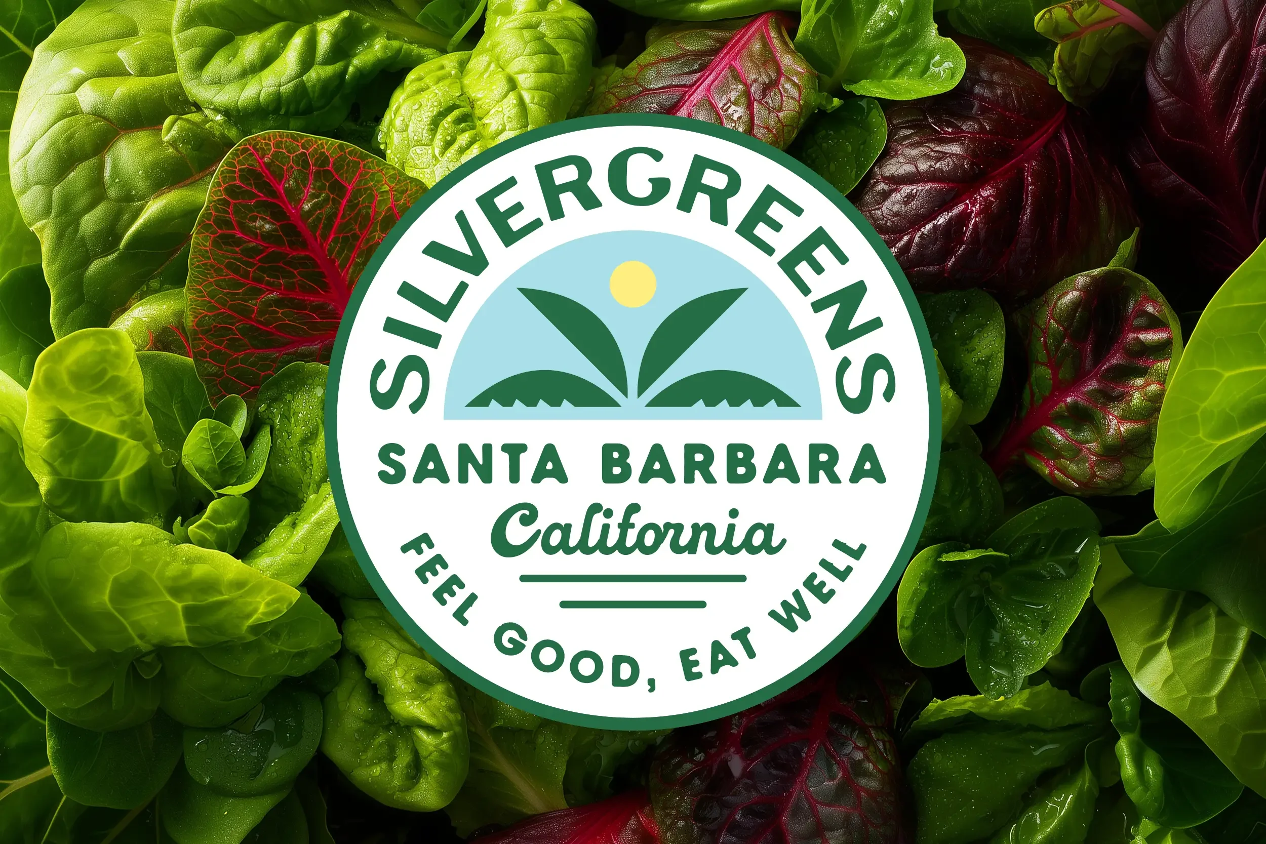 Silvergreens  <span class="coming-soon">(coming soon)</span>