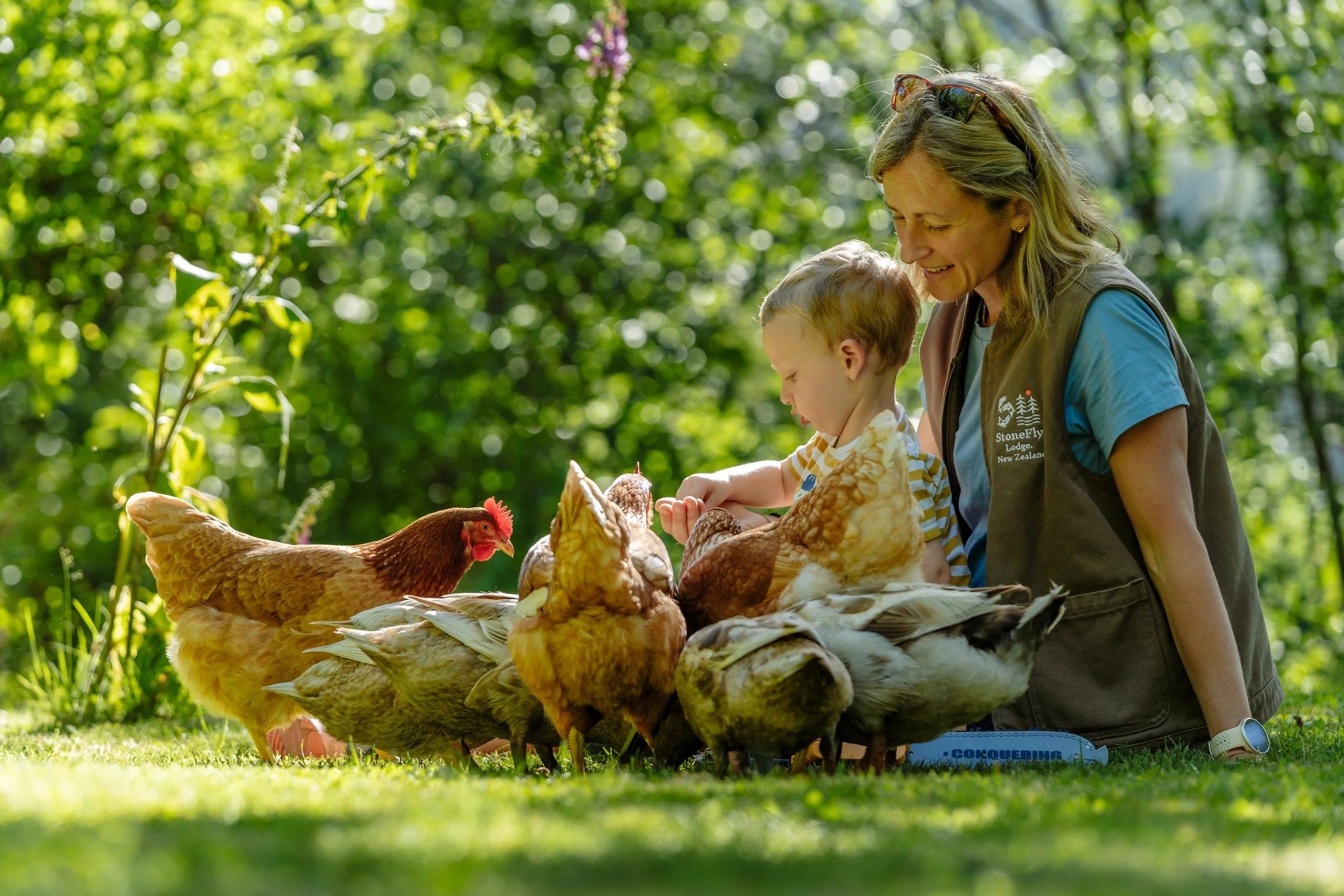 Hosts feeding free-range chickens at Stonefly Lodge