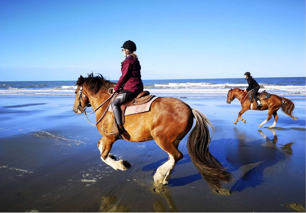 Two riders galloping along a wet beach at low tide