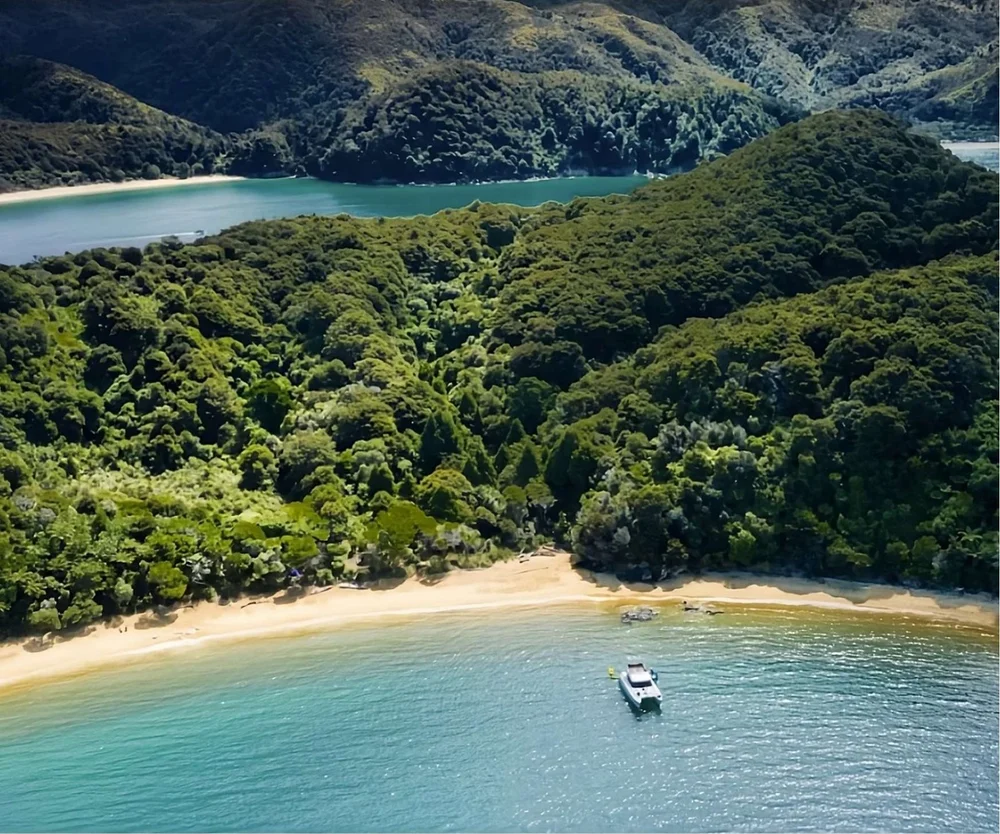 A launch anchored off a sandy cove backed by native bush in Abel Tasman