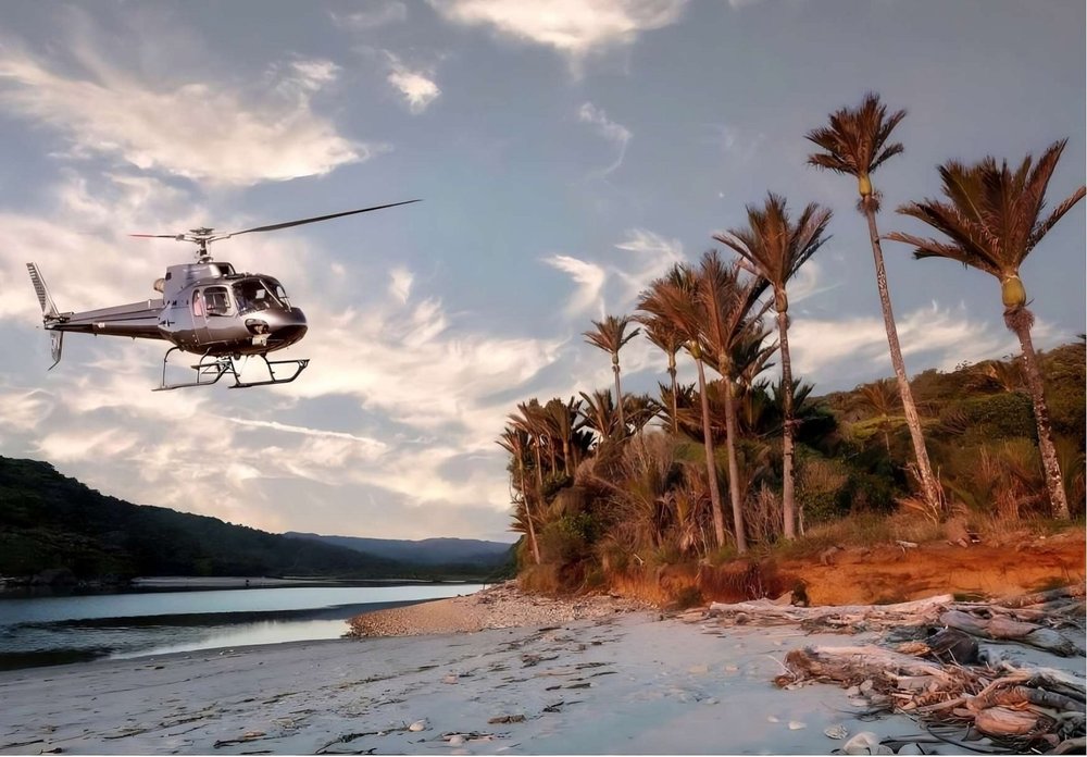 A helicopter above a West Coast river mouth with nikau palms