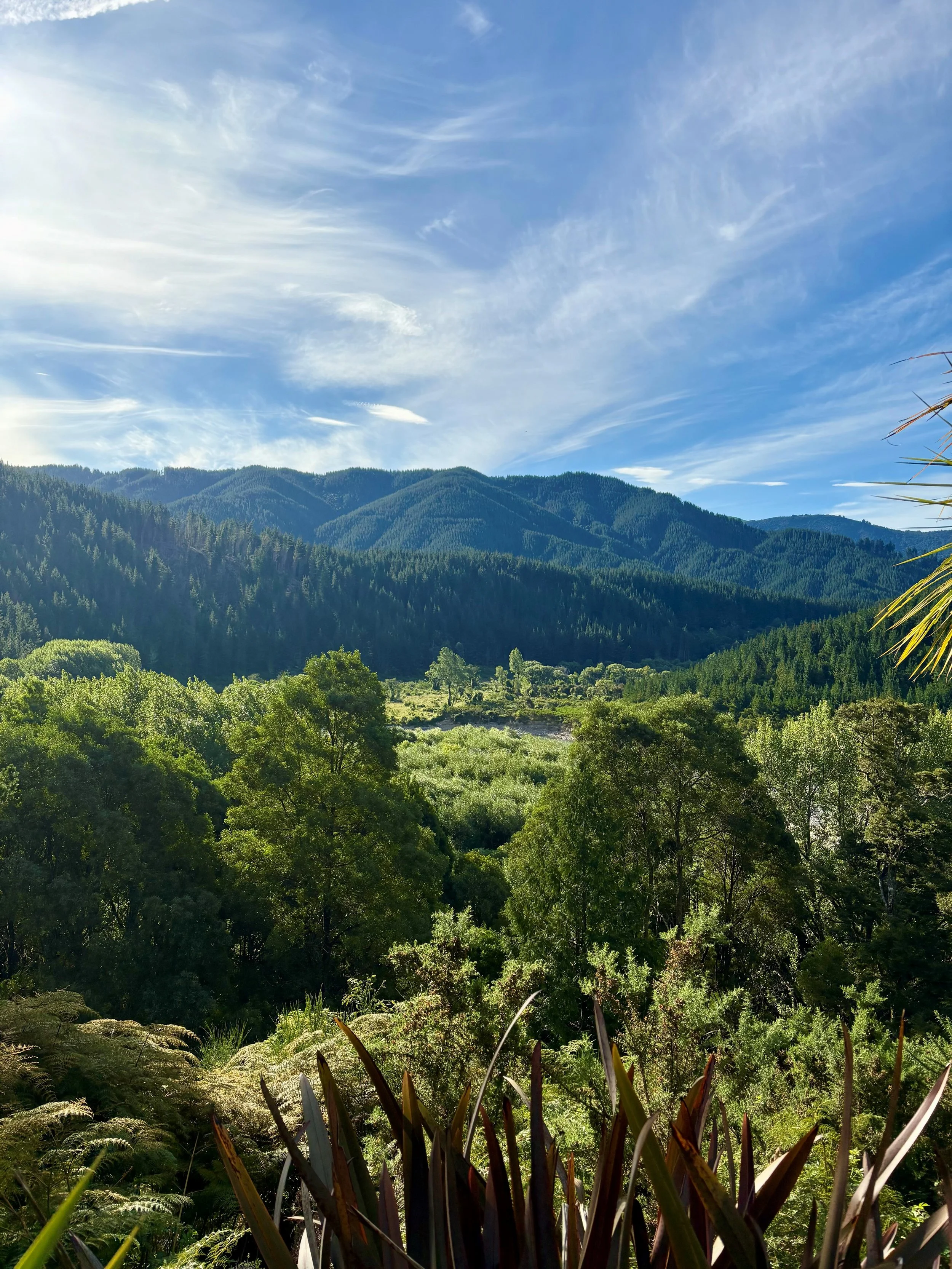 Motueka River Stonefly Lodge New Zealand