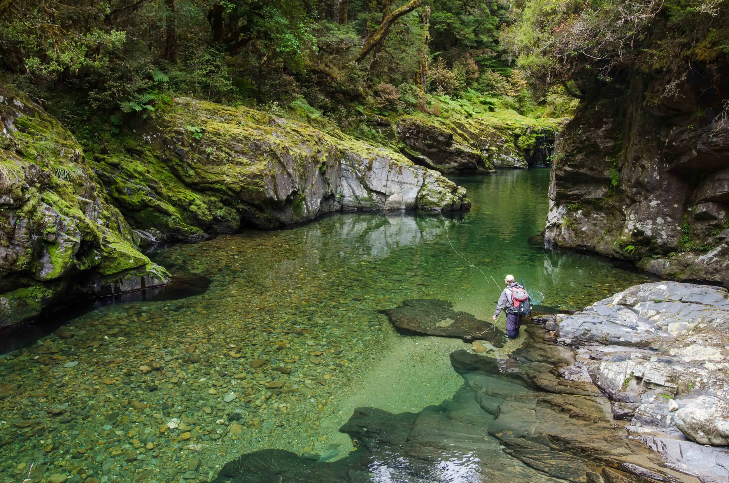 Angler in deep river canyon, backcountry fly fishing Nelson
