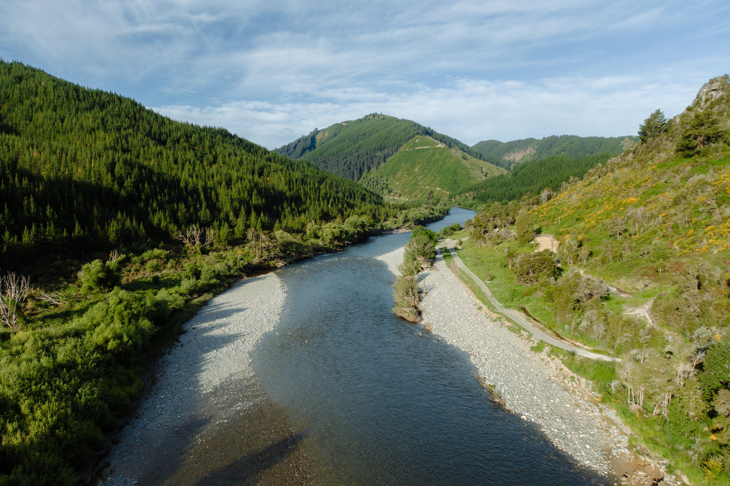 River and spring bed outside of Stonefly Lodge