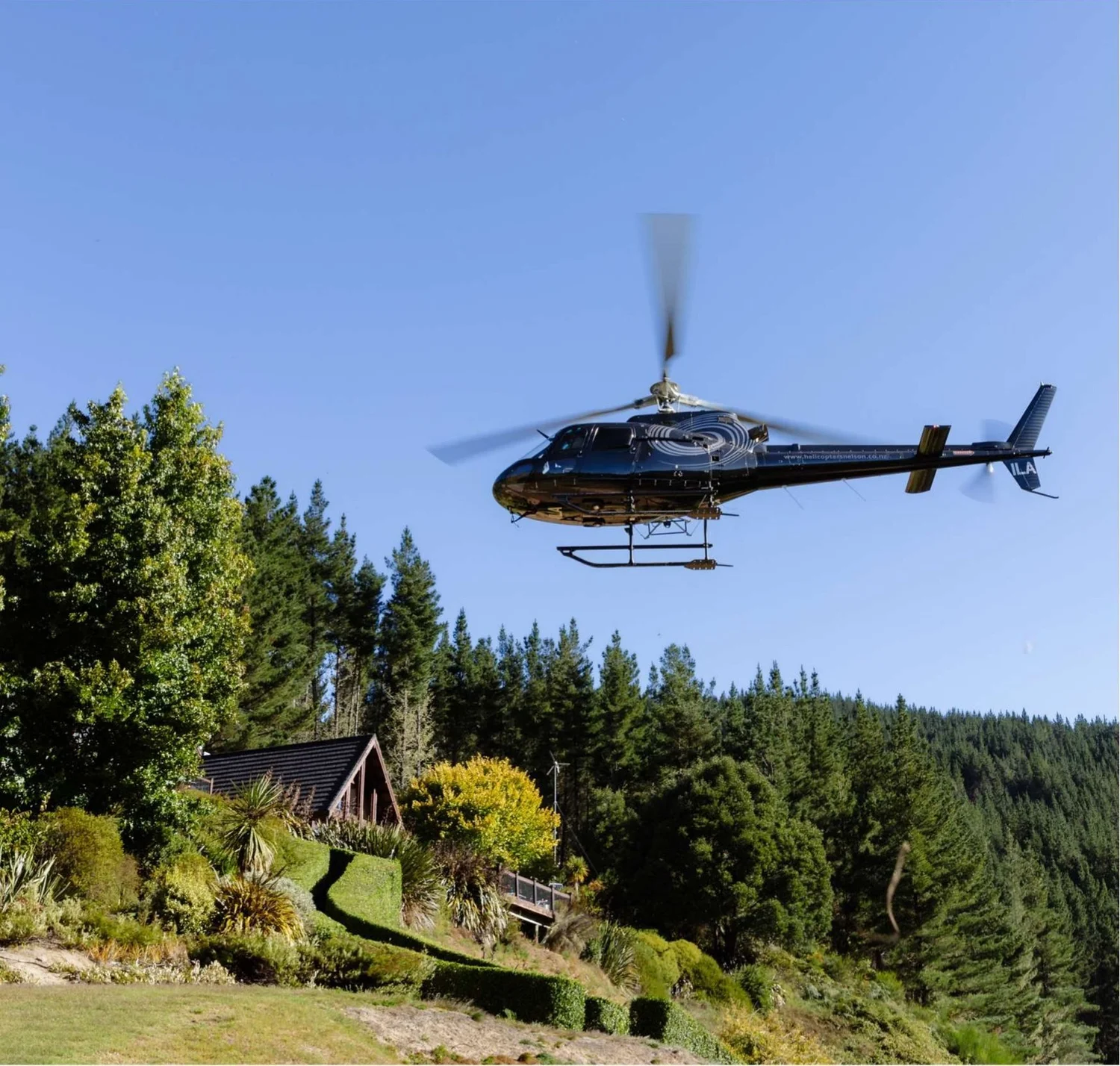 A helicopter lifting off beside the lodge among native garden and pine forest