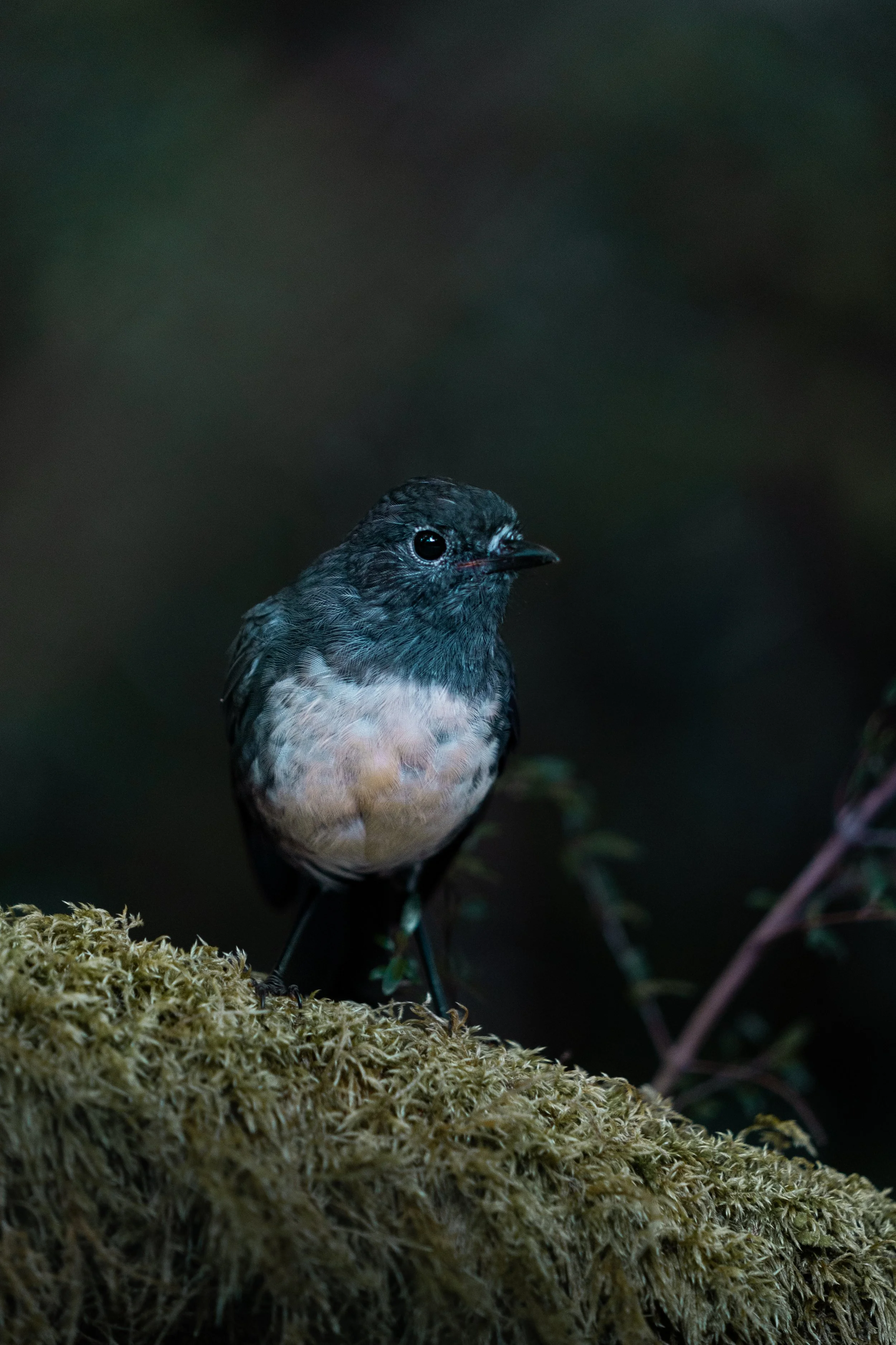 Stonefly Trip 2026 (61 of 80).jpg