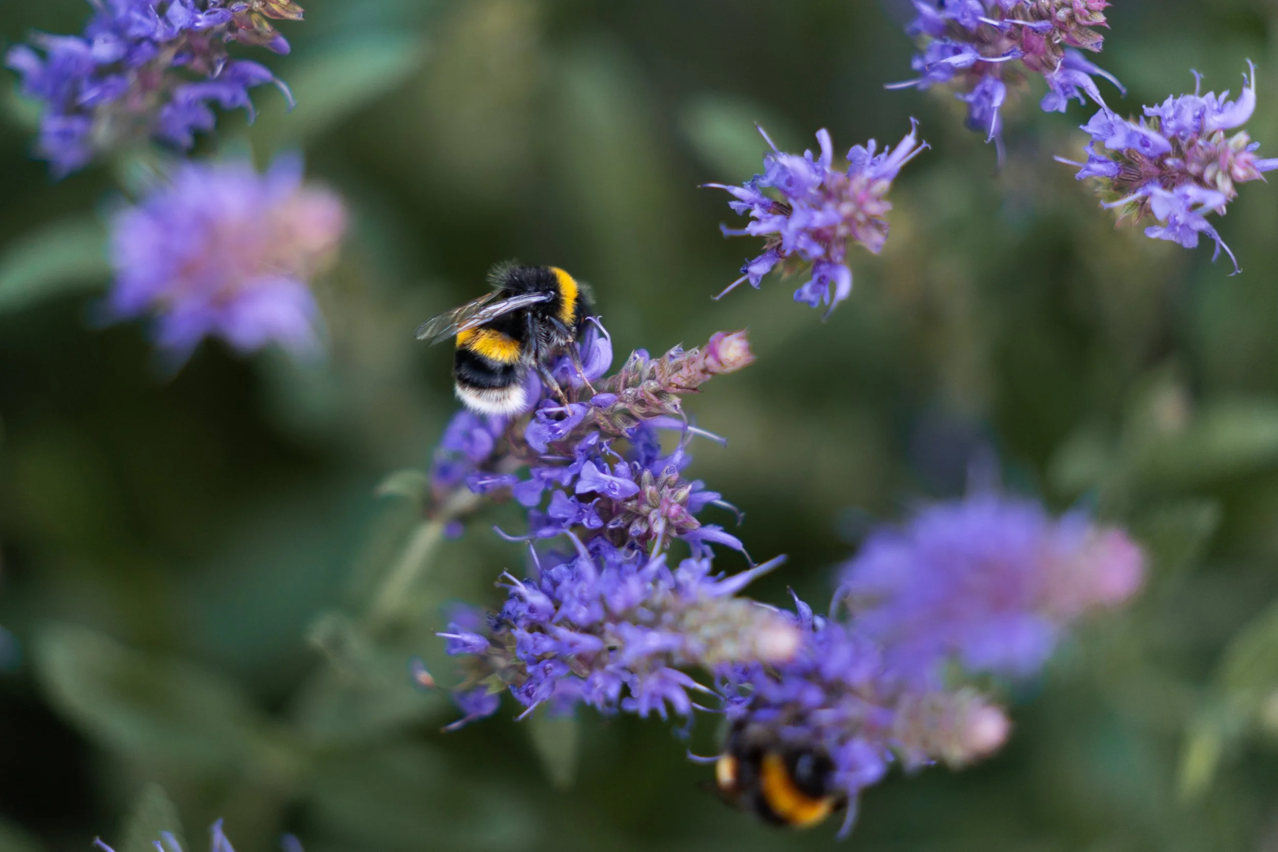 Stonefly Trip 2026 (7 of 80).jpg