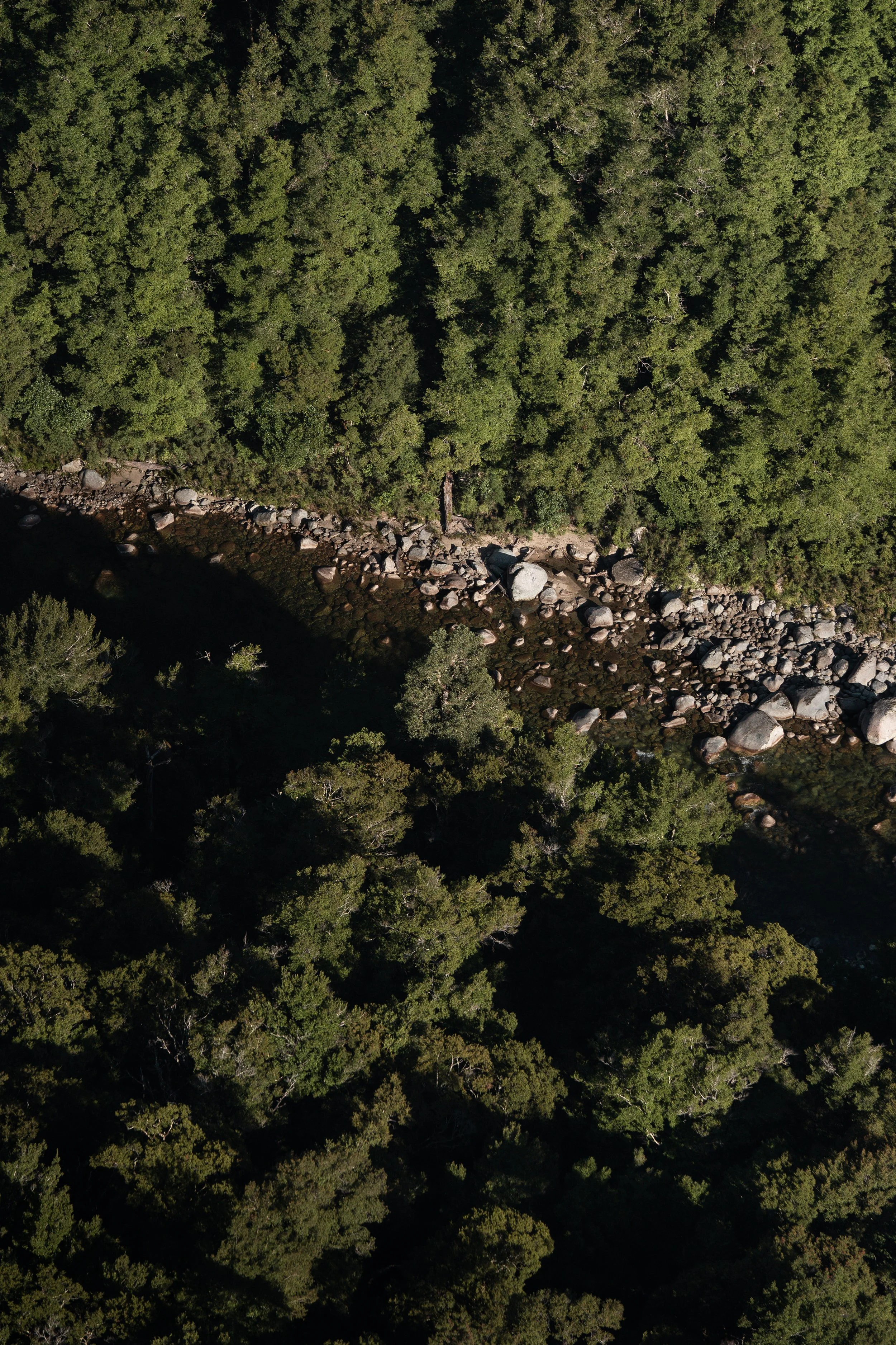 Stonefly Trip 2026 (47 of 80).jpg