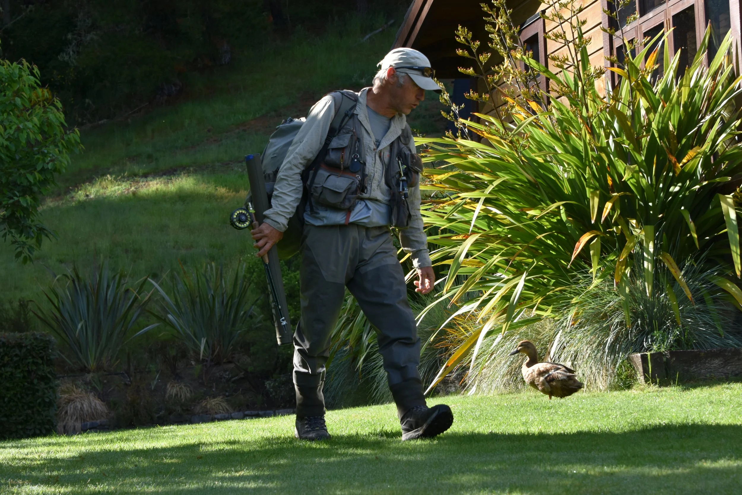 Guest strolling the lawn with ducks at Stonefly Lodge