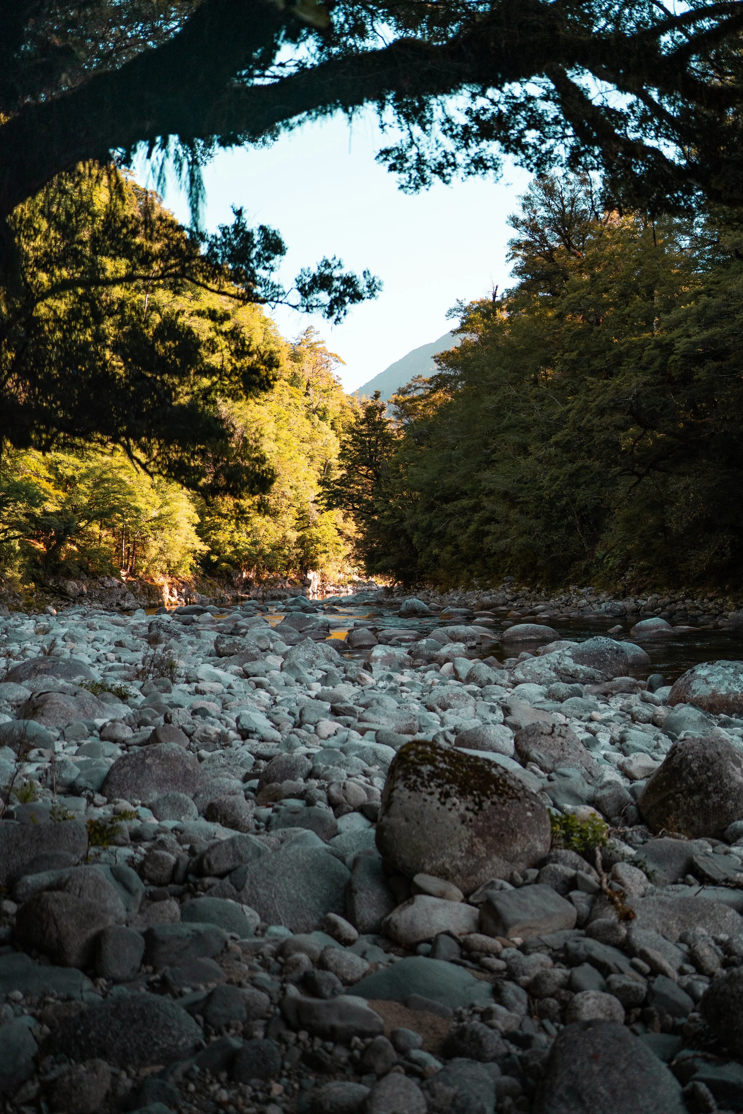 Stonefly Trip 2026 (58 of 80).jpg