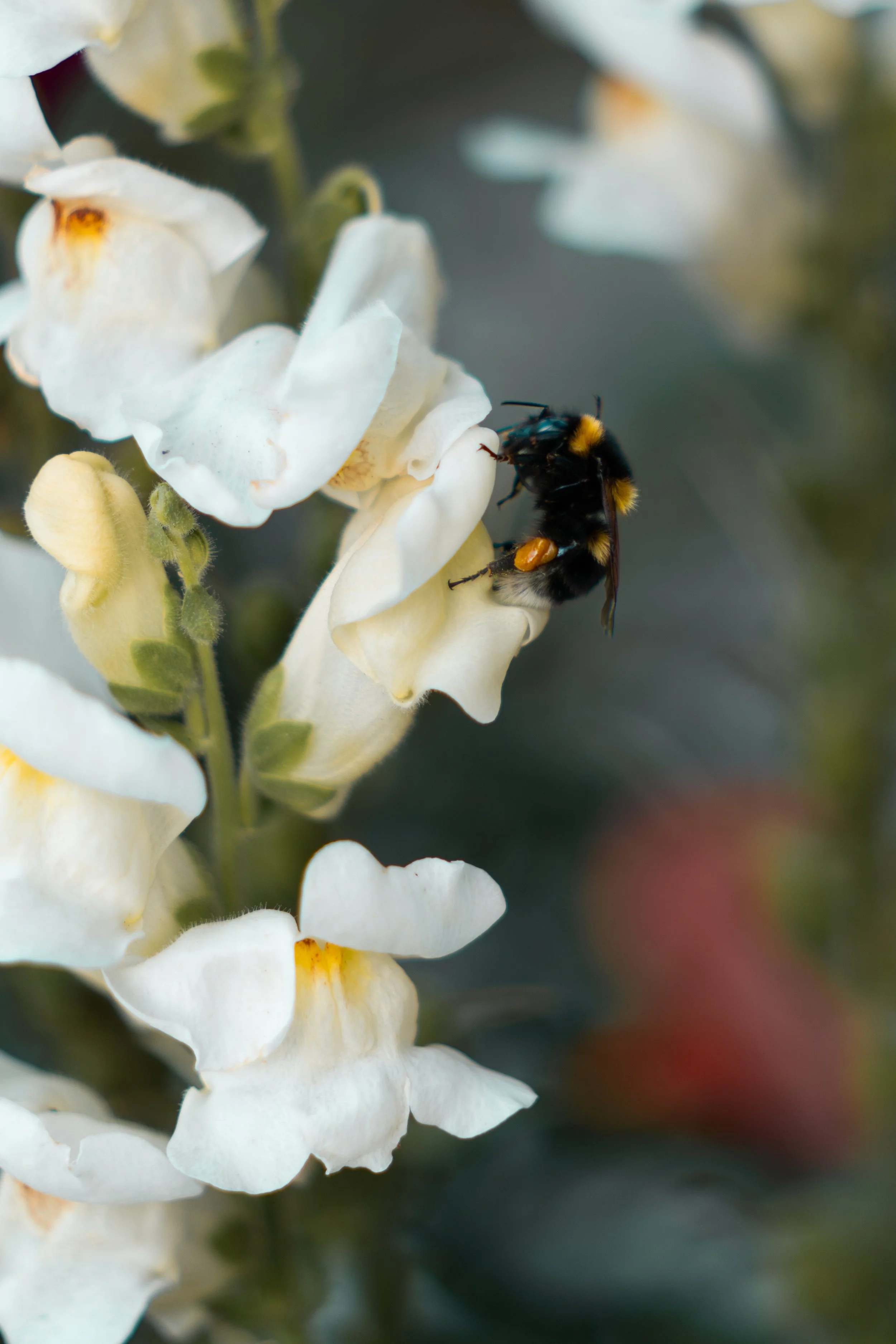 Stonefly Trip 2026 (6 of 80).jpg