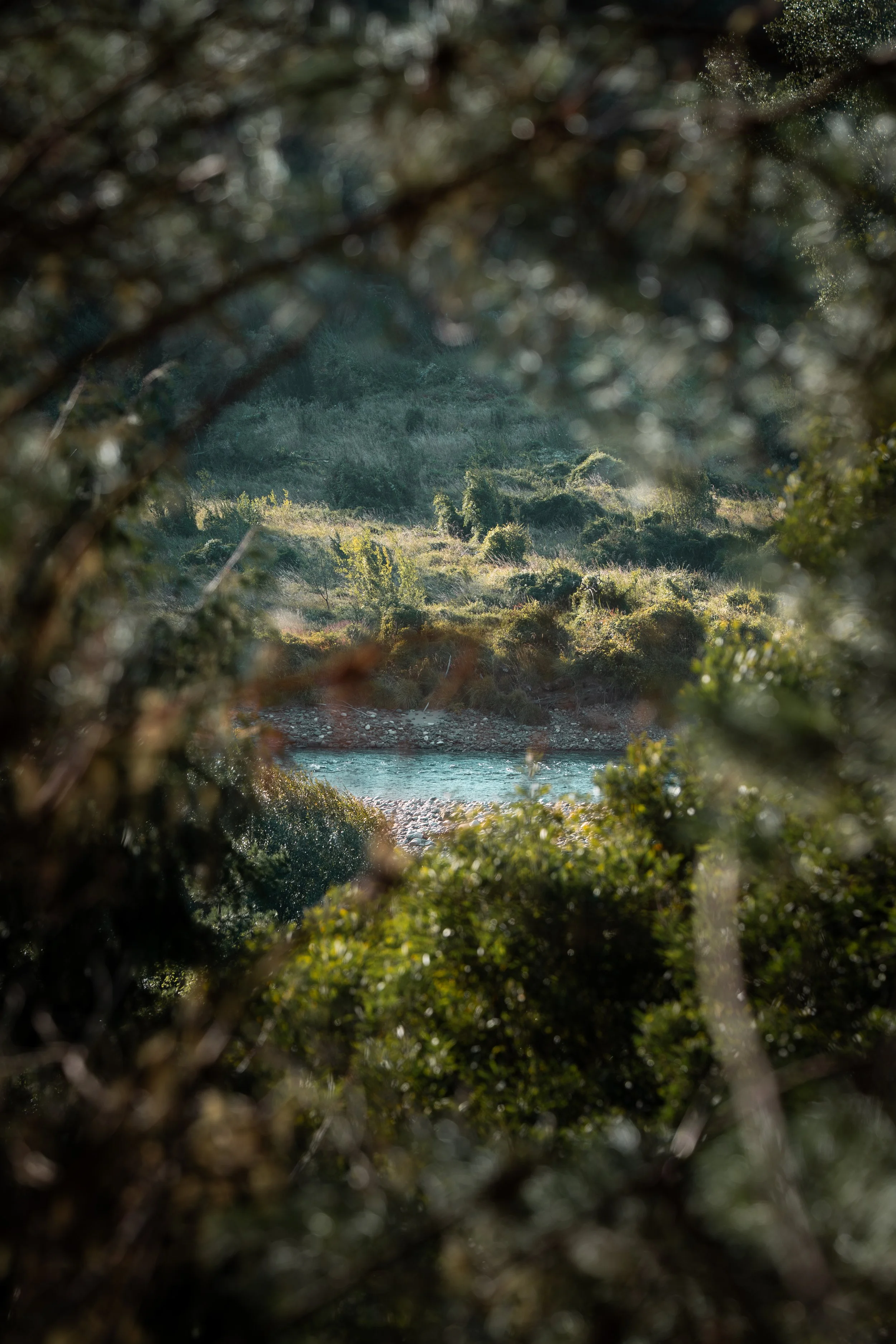 Stonefly Trip 2026 (5 of 80).jpg