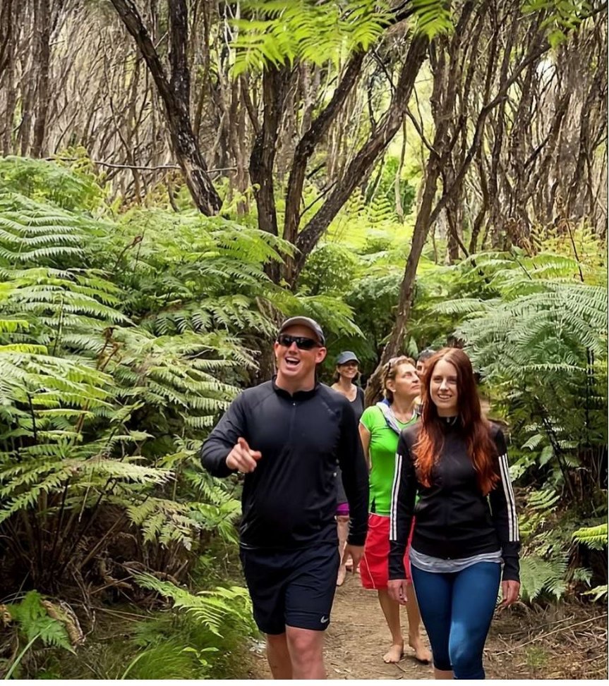 A guide leading guests through tree ferns on a bush walk