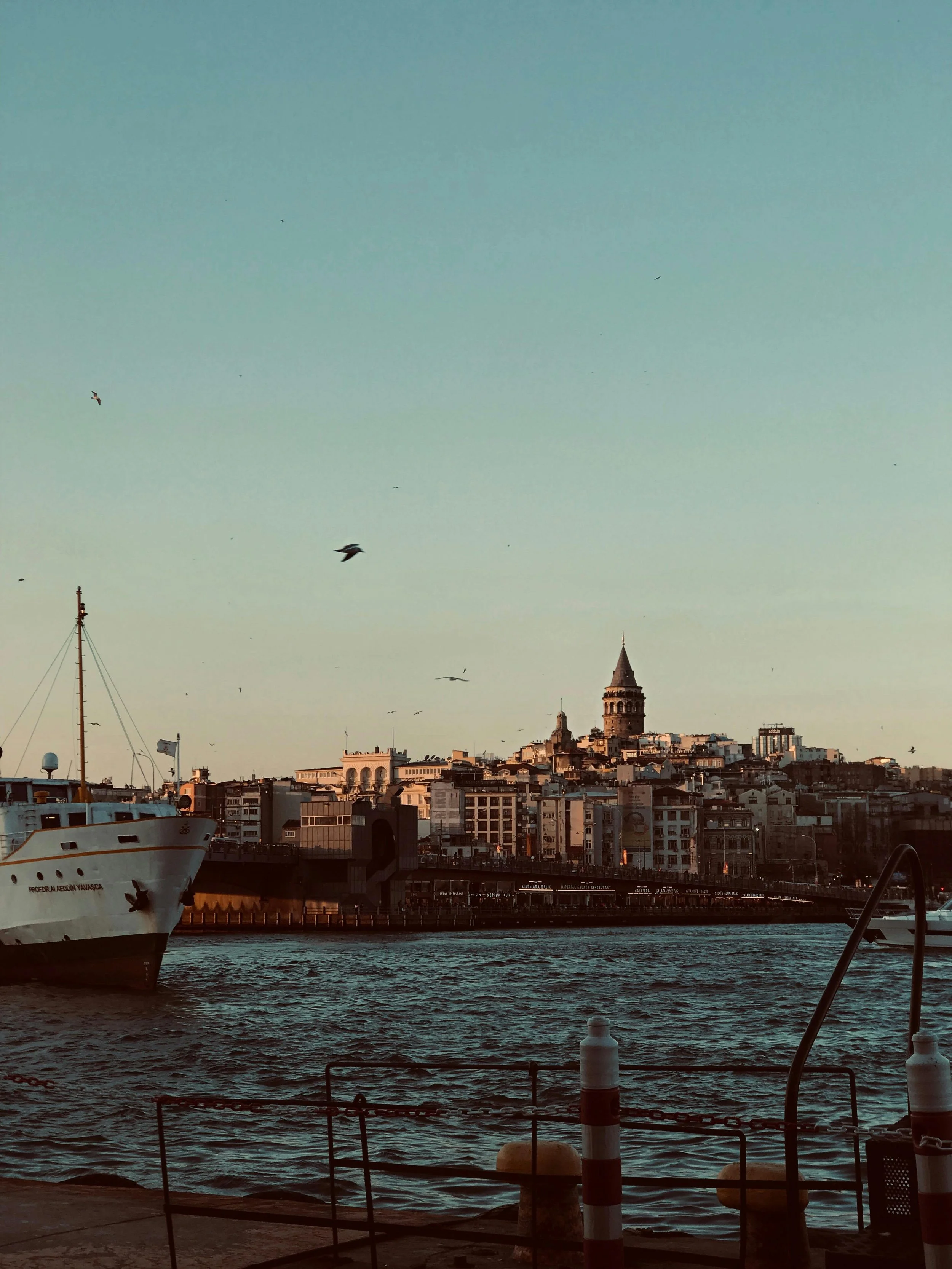 Scenic view of Stockholm,  overlooking a body of water with boats and seagulls flying in the sky.
