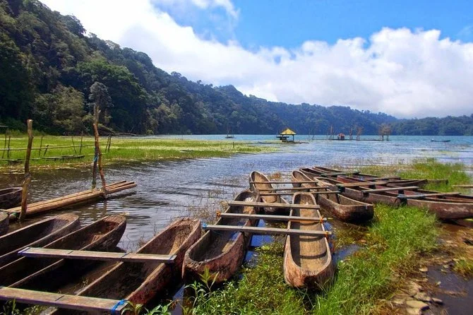 Multiple wooden canoes lined up along the edge of a lake with lush green hills in the background under a partly cloudy sky.