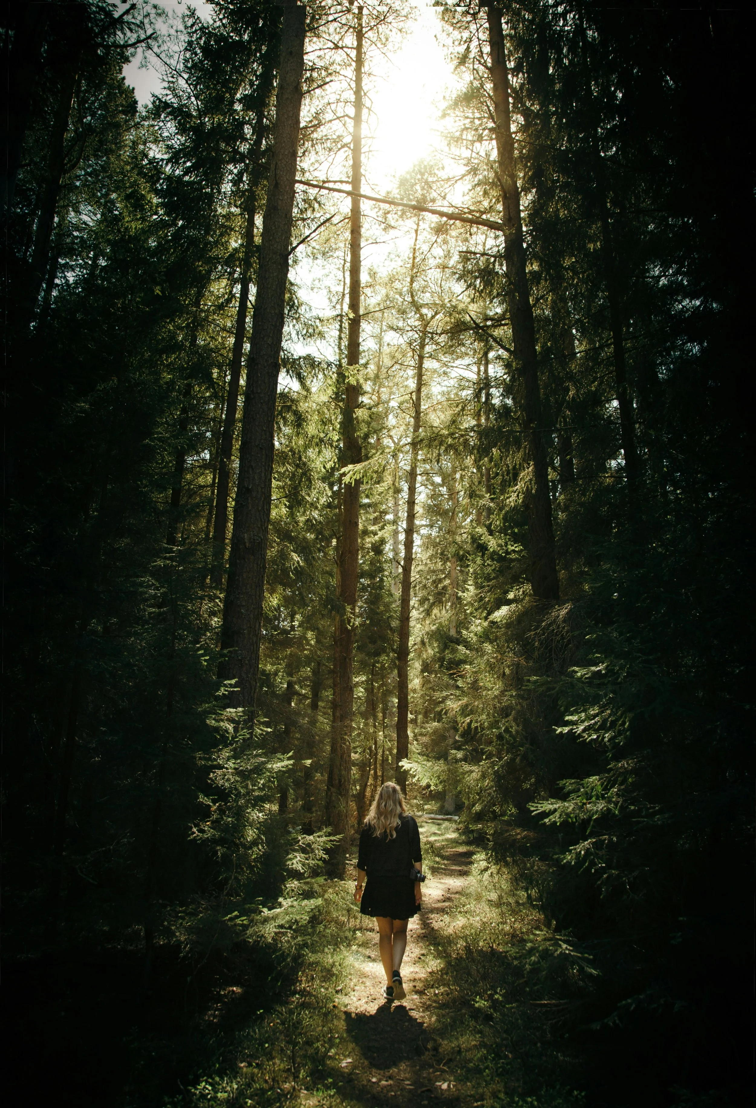 A woman walking on a forest trail surrounded by tall trees with sunlight shining through the branches.