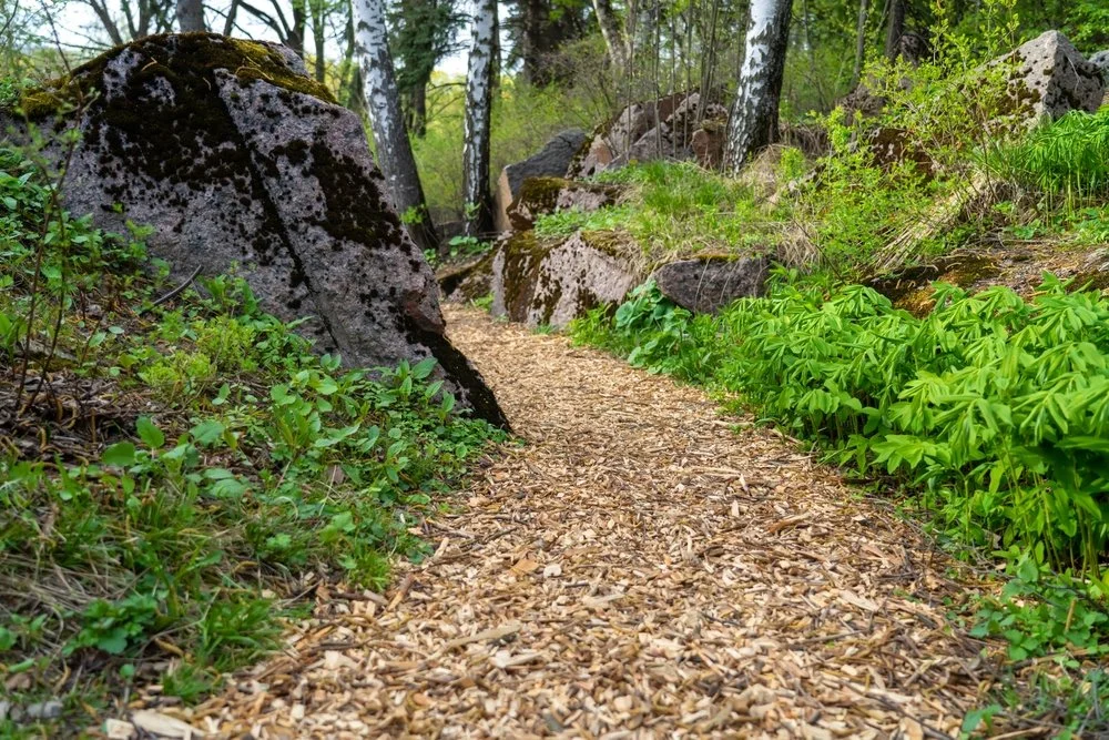 Mulch path installation as part of a xeriscape landscape design in Denver, Colorado.