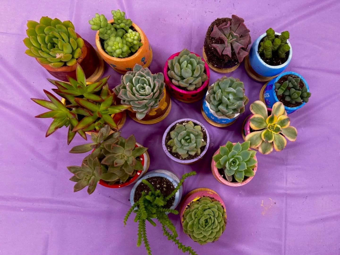 Galentine&rsquo;s workshop 💗🪴