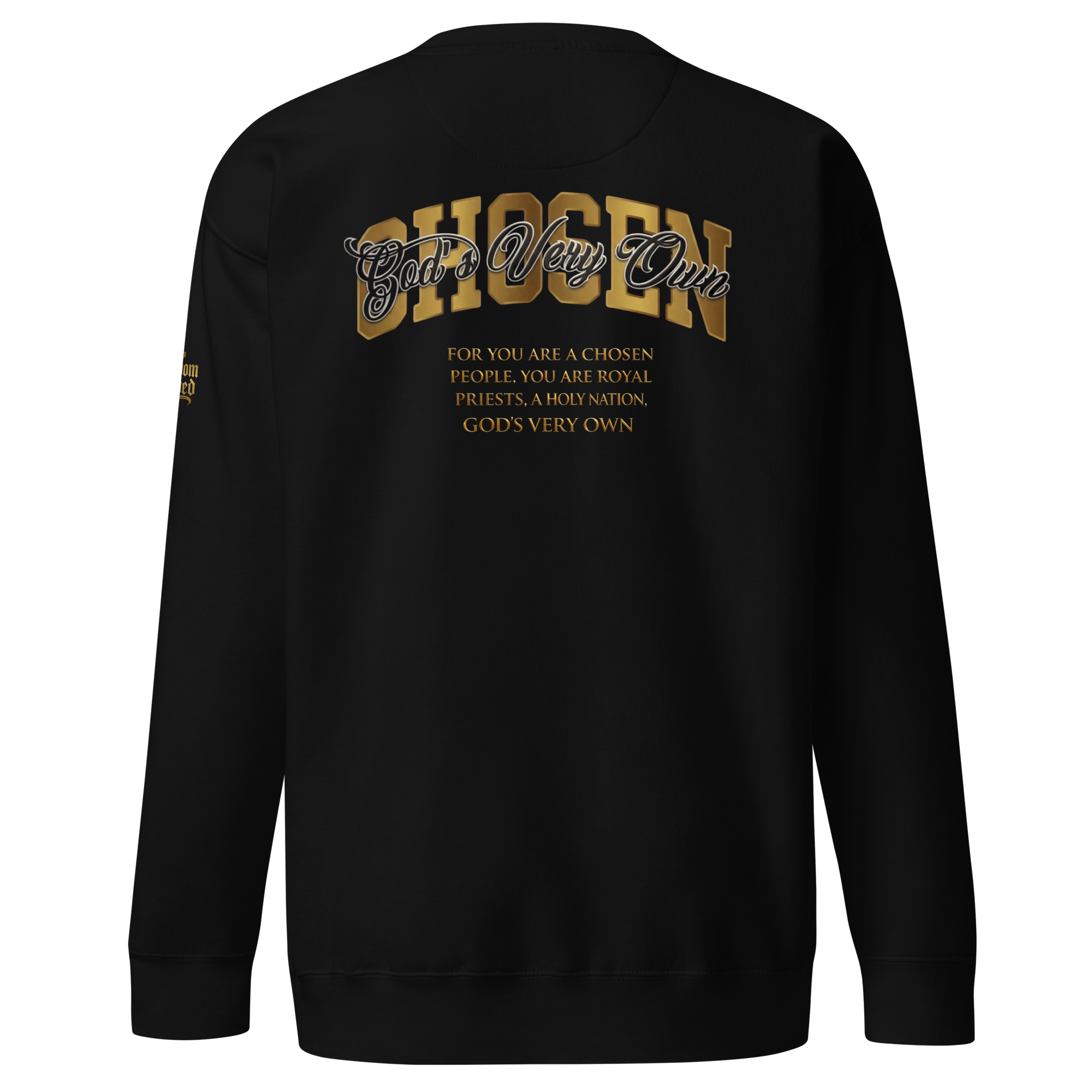 unisex-premium-sweatshirt-black-back-69ca999fc22c5.png