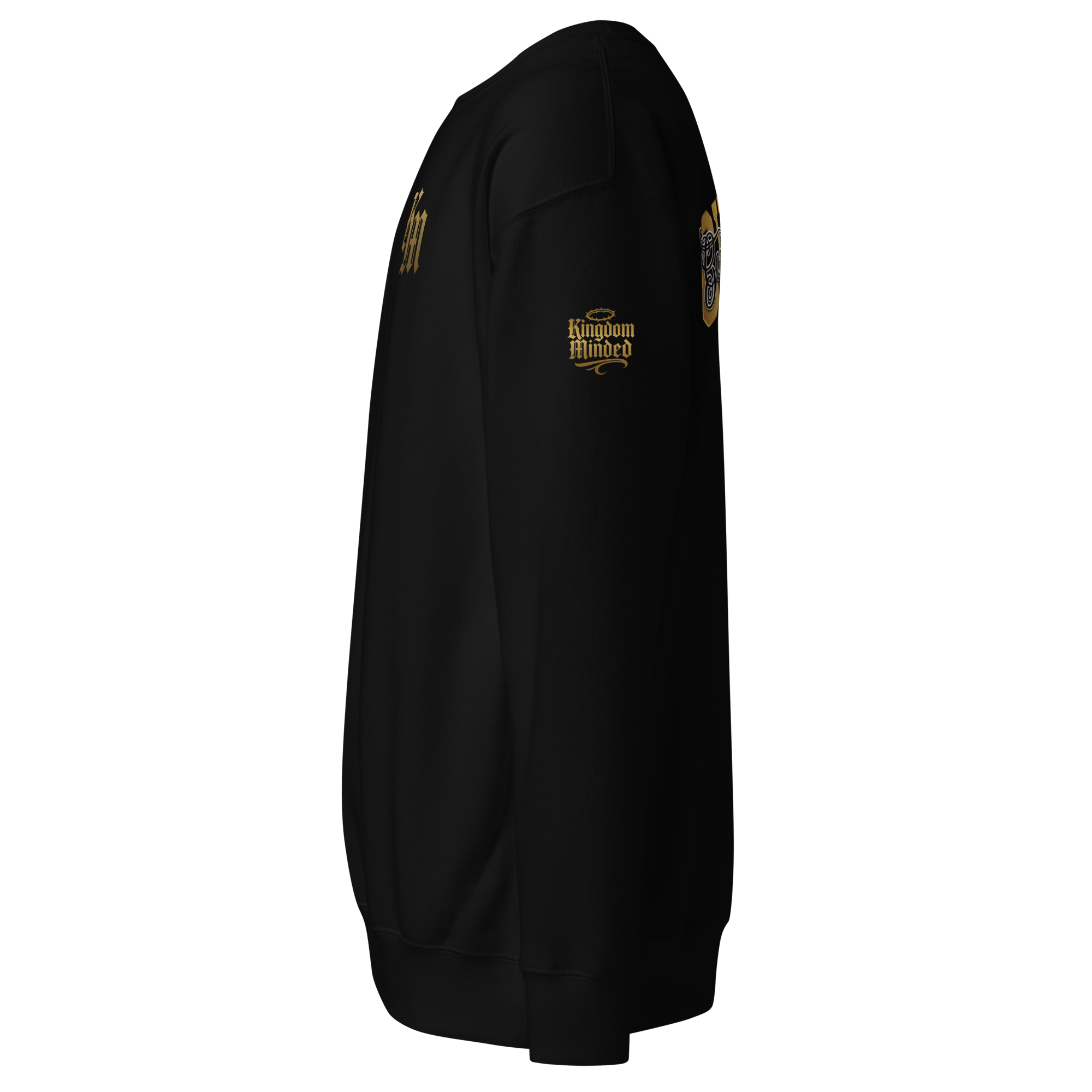 unisex-premium-sweatshirt-black-left-69ca999fc28ec.png
