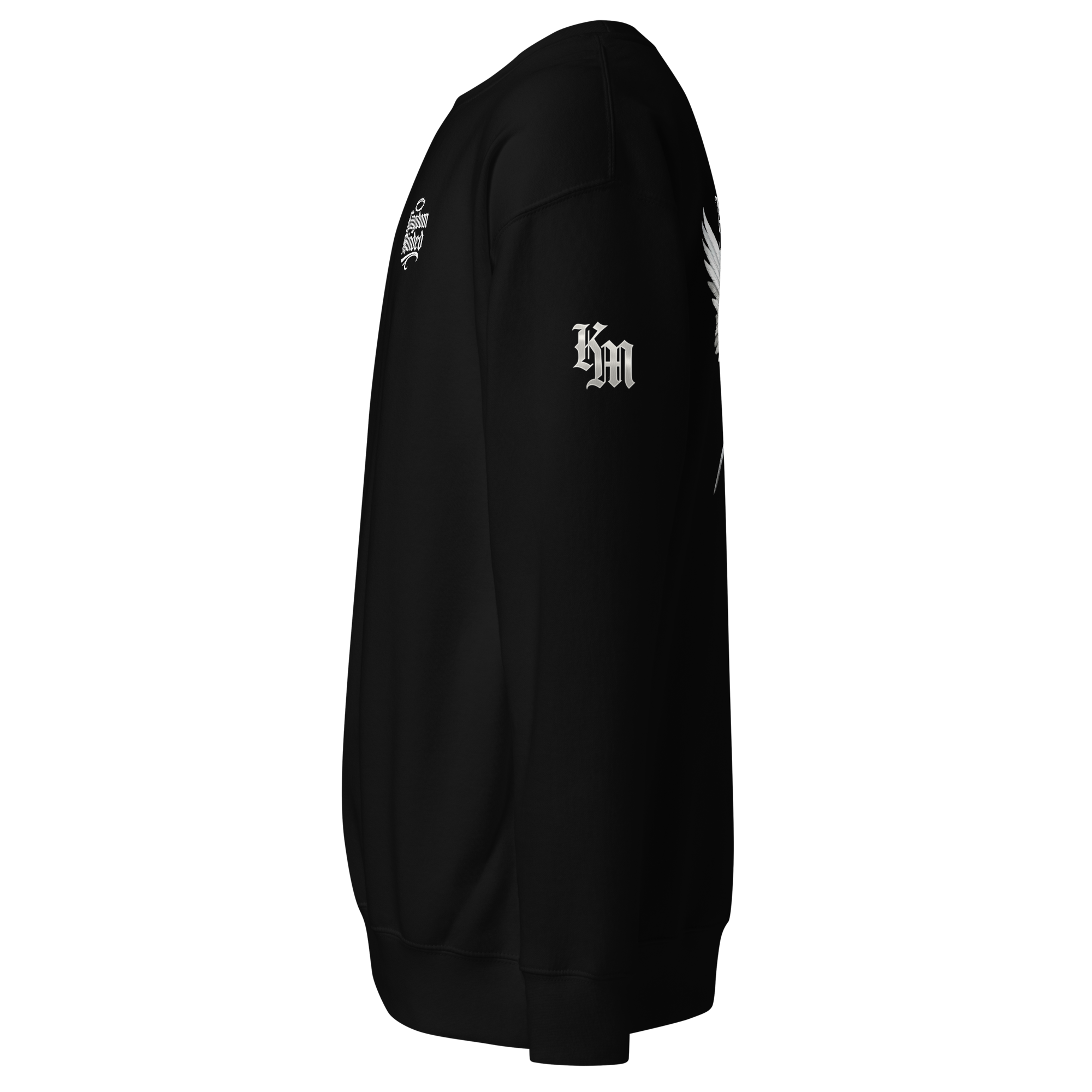 unisex-premium-sweatshirt-black-left-69cdc86f89364.png