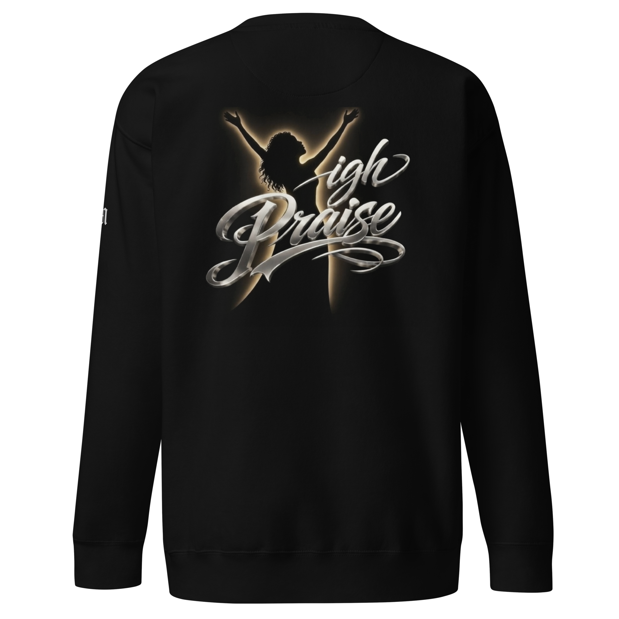 unisex-premium-sweatshirt-black-back-69974820d160b.png