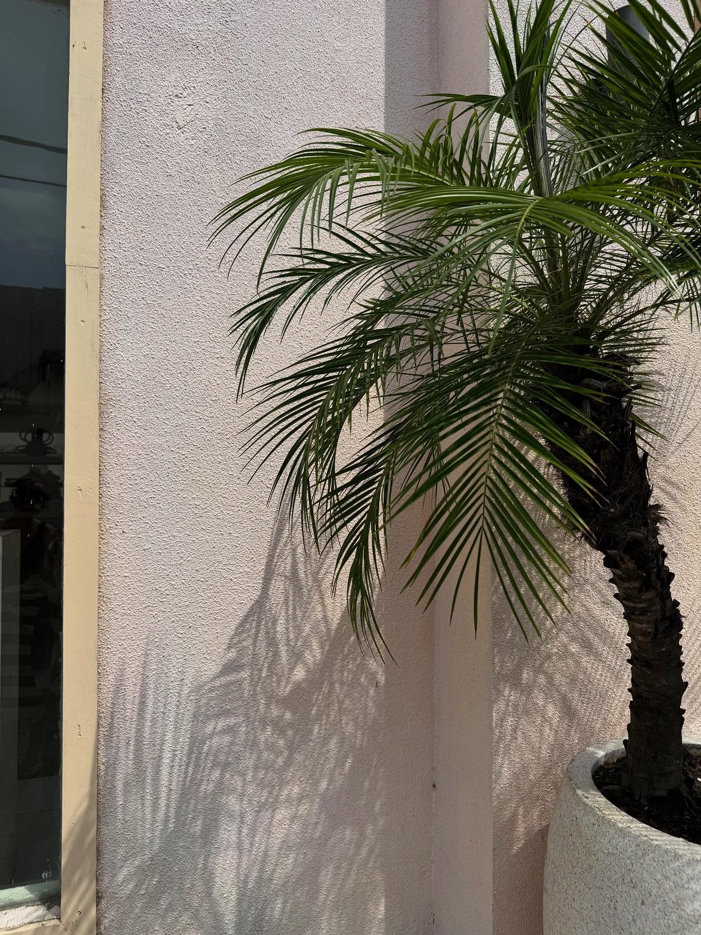 Bali scenes giving haven vibes 🤎🌴🐚

.

#bali #balicafe #baliholiday #holidayinspiration #interiordesign #interiorstyling #interiordecor #baliinspiration #decorinspiration #homestyling #homestaging #centralcoaststaging #centralcoaststylist #stylist