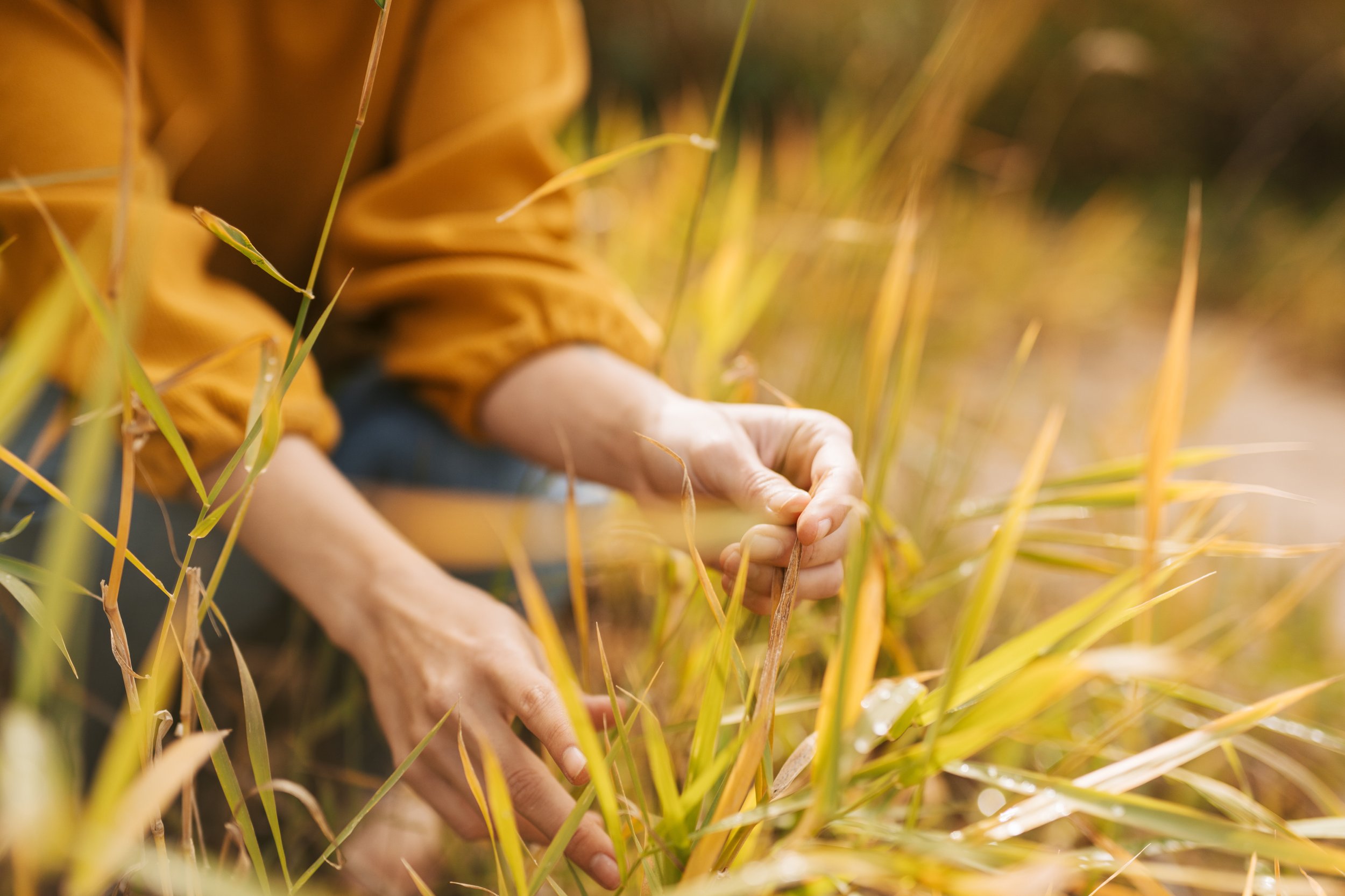 Is it possible to heal when you can’t afford to?