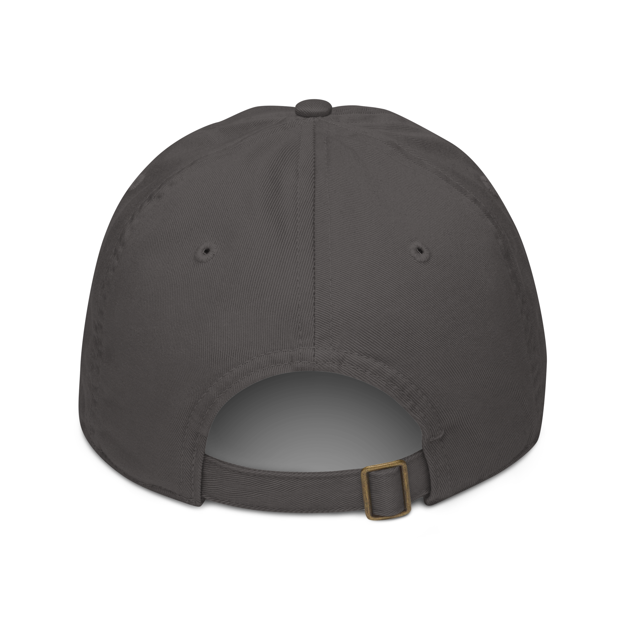 organic-baseball-cap-charcoal-back-69c6fe2189ac6.png