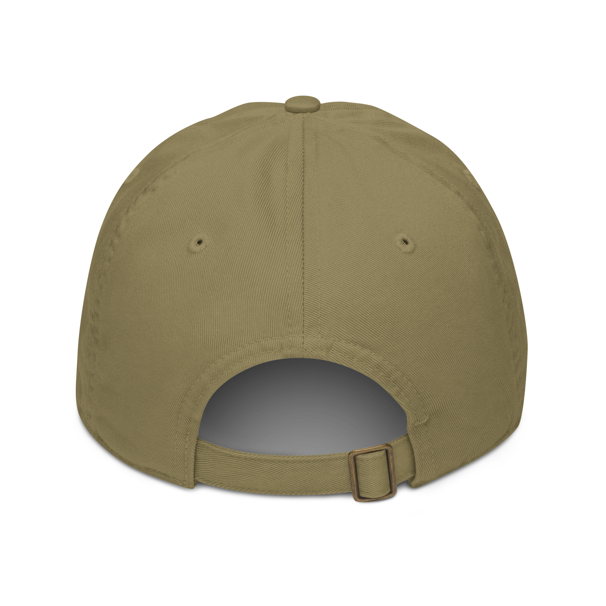 organic-baseball-cap-jungle-back-69c6fe9bb8fec.png