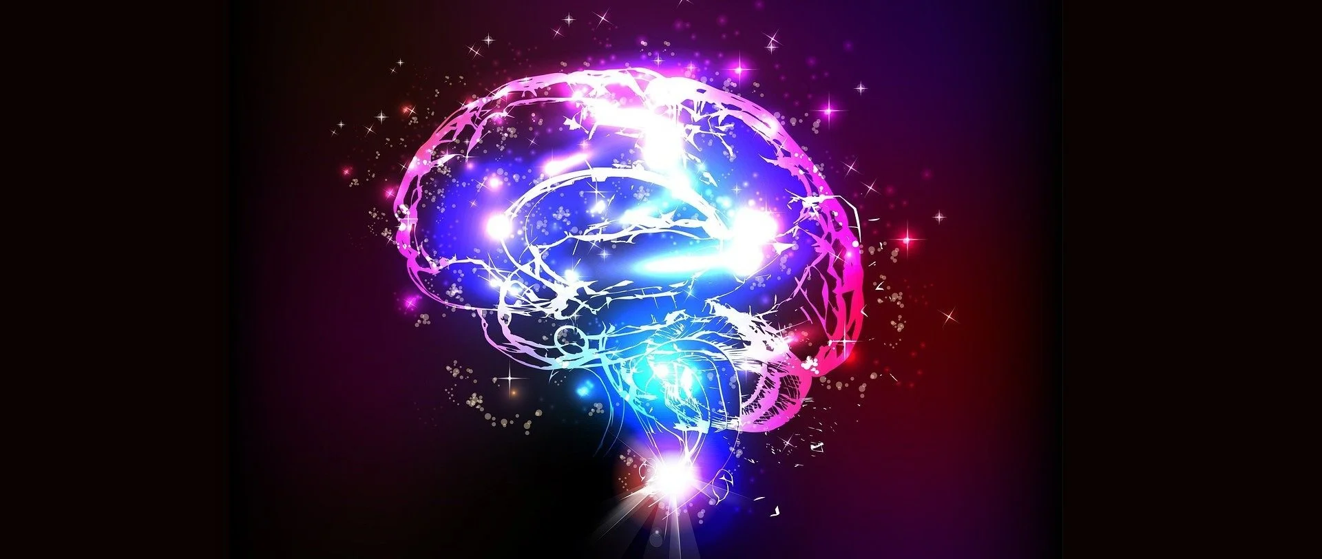 brain-g1b9e6d26e_1920.jpg