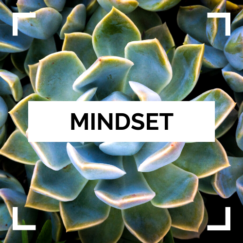 MINDSET.webp