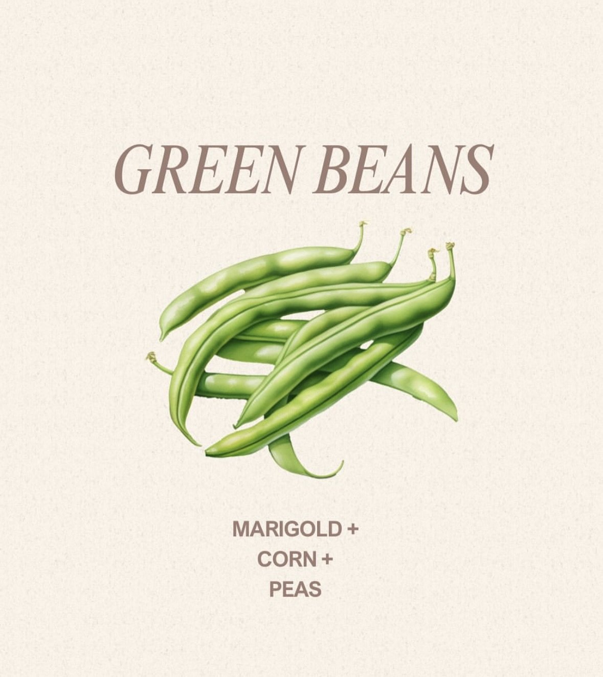 green beans.jpeg
