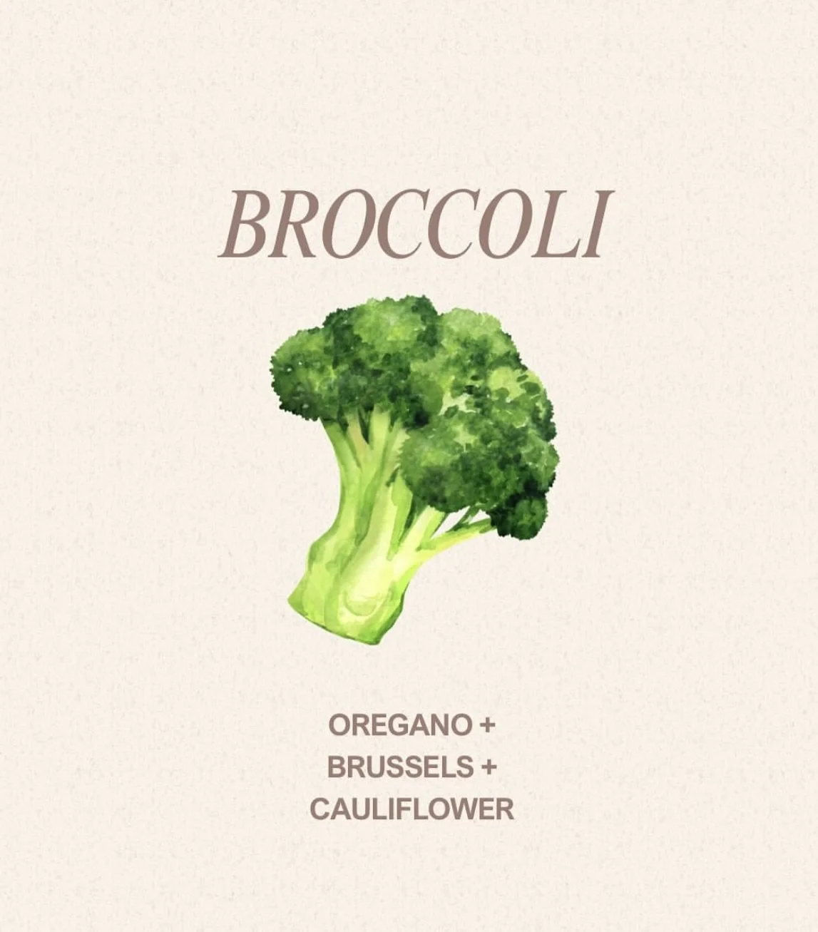 broccoli.jpeg