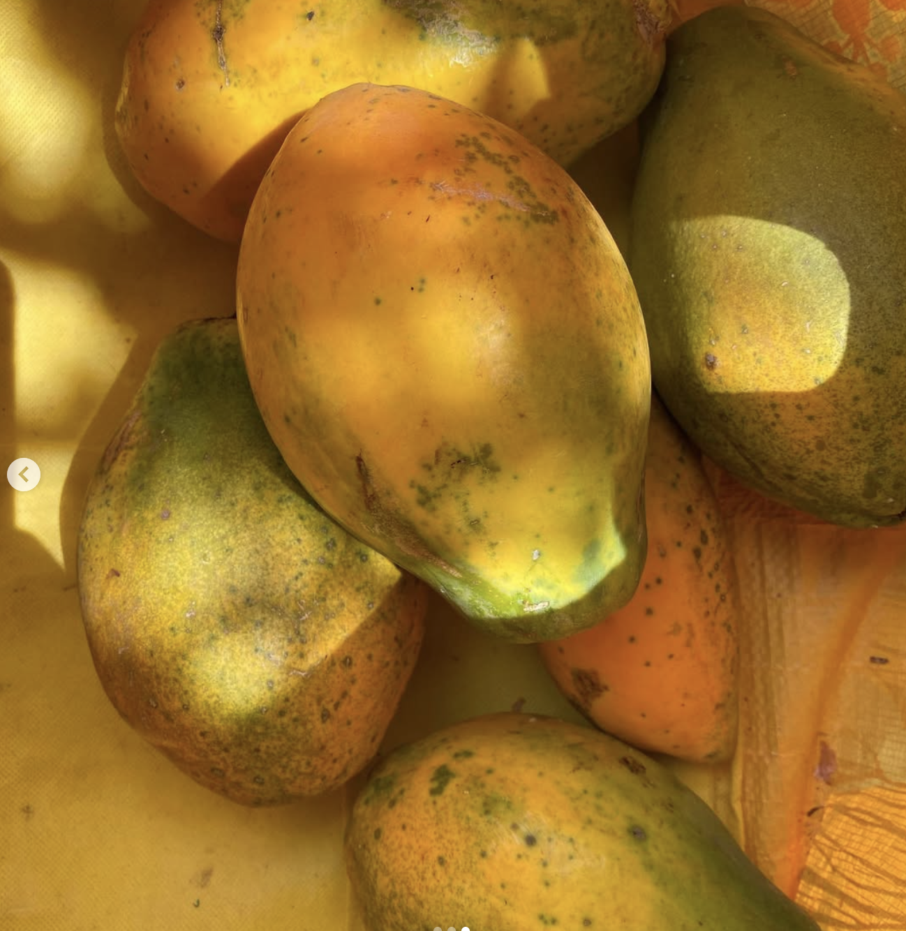 Screenshot 2025-08-12 at 5.25.01 PM.png