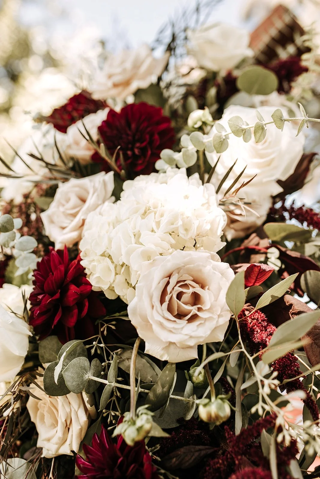 Close-up of a bouquet with white roses, deep red dahlias, white hydrangeas, and eucalyptus leaves outdoors.